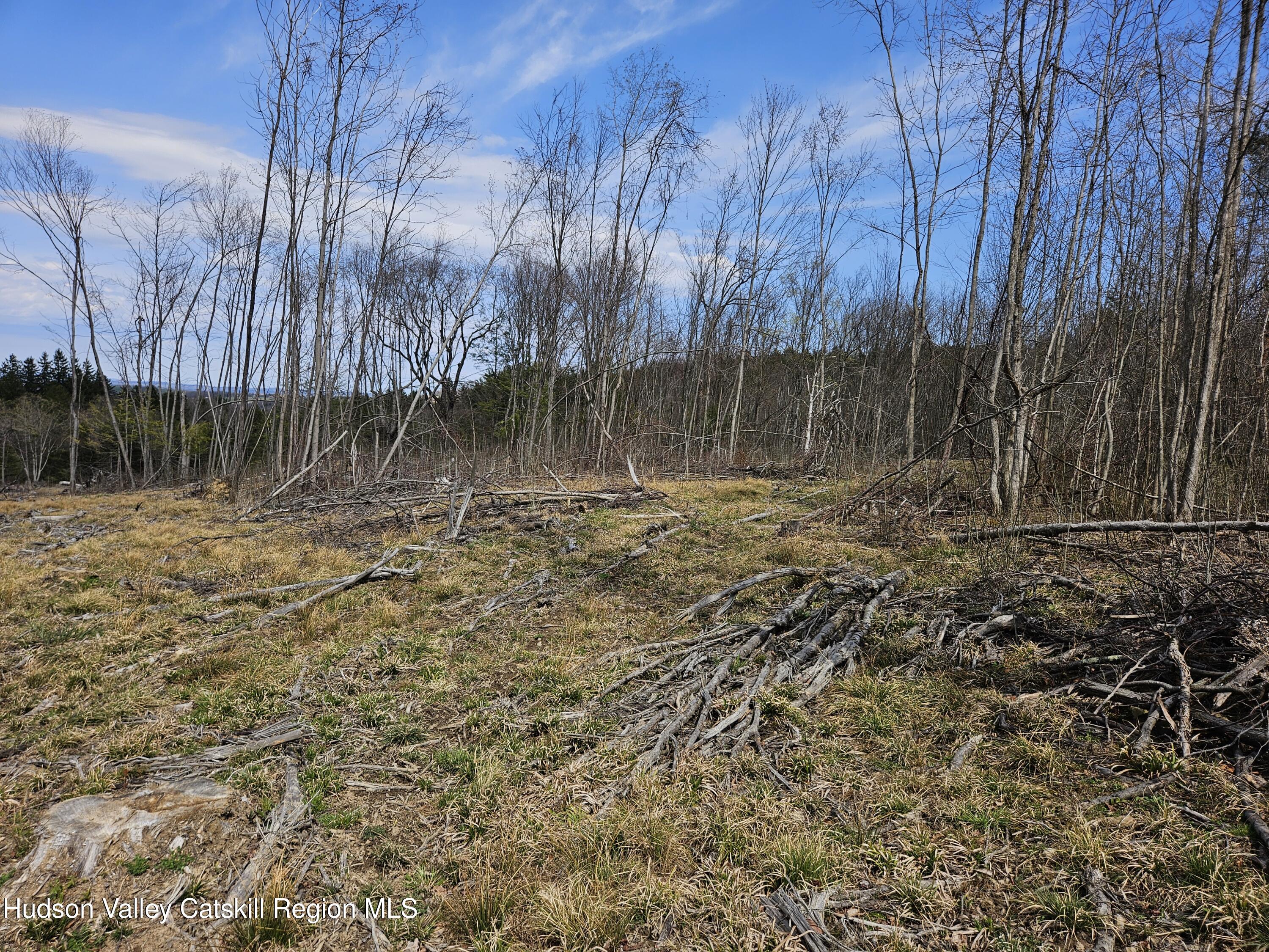 295 Shellstone Road Amsterdam, NY 12010 - Photo 40 of 98 20250424_143729