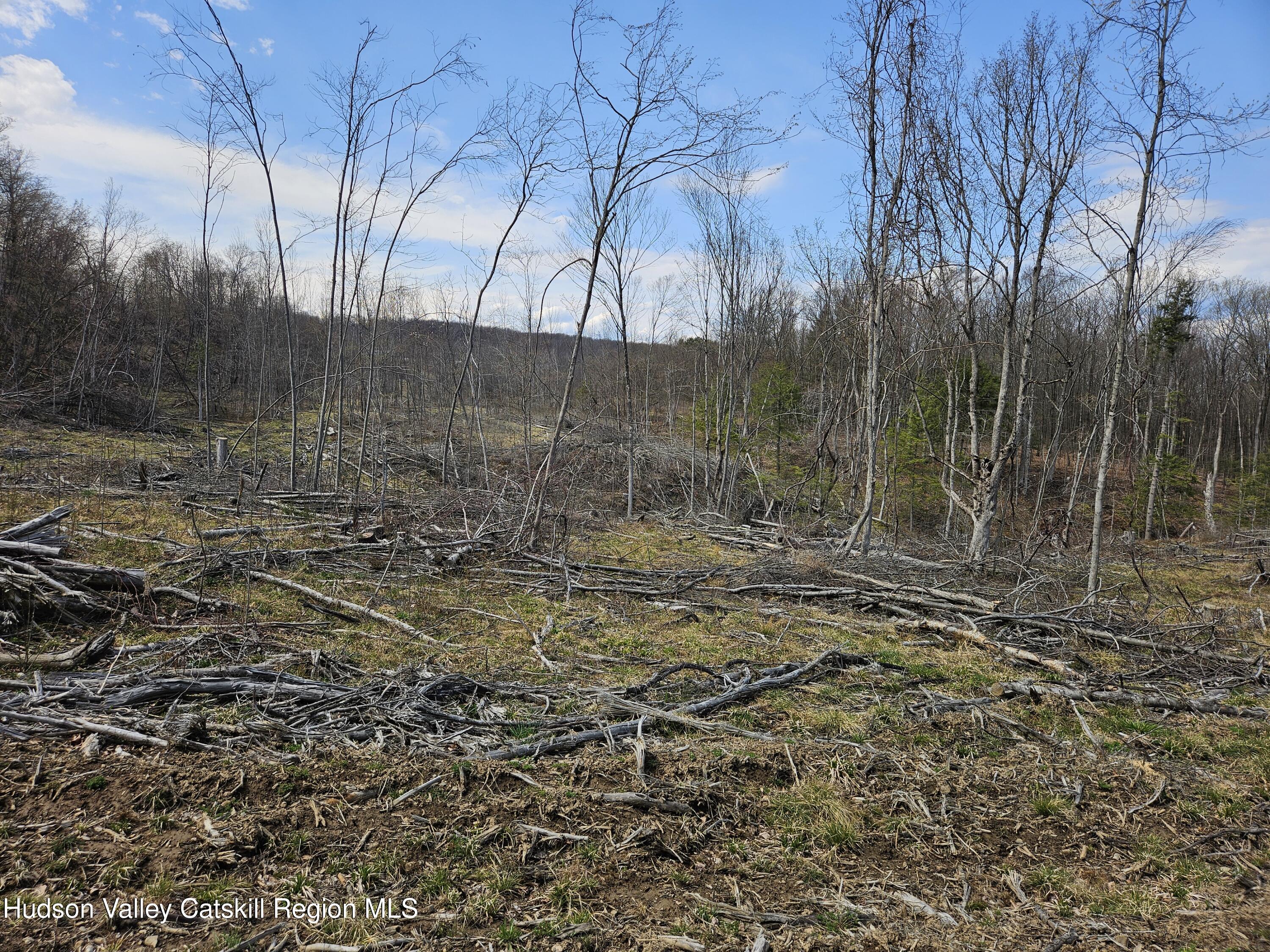 295 Shellstone Road Amsterdam, NY 12010 - Photo 40 of 98 20250424_143710