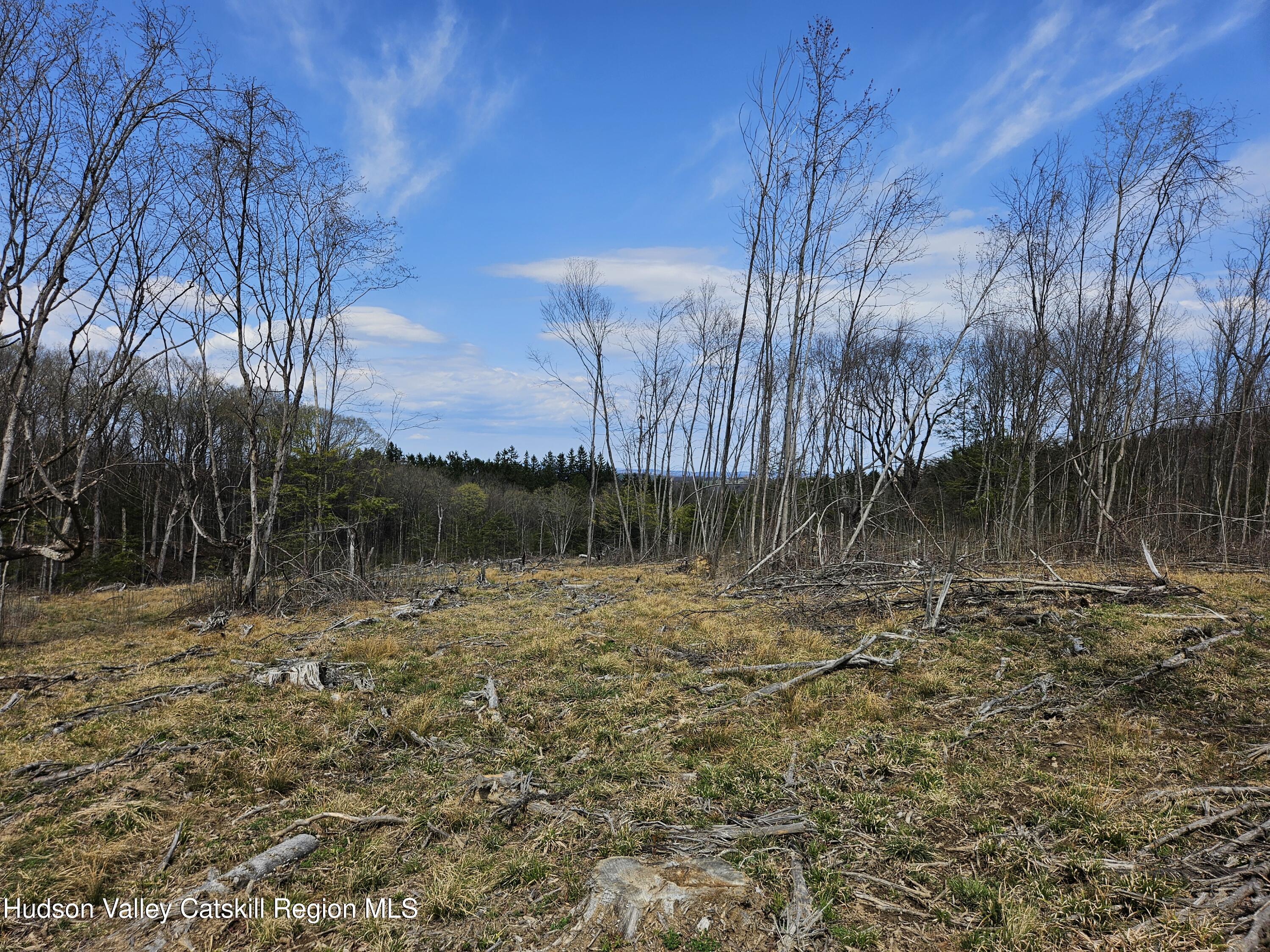 295 Shellstone Road Amsterdam, NY 12010 - Photo 41 of 98 20250424_143731