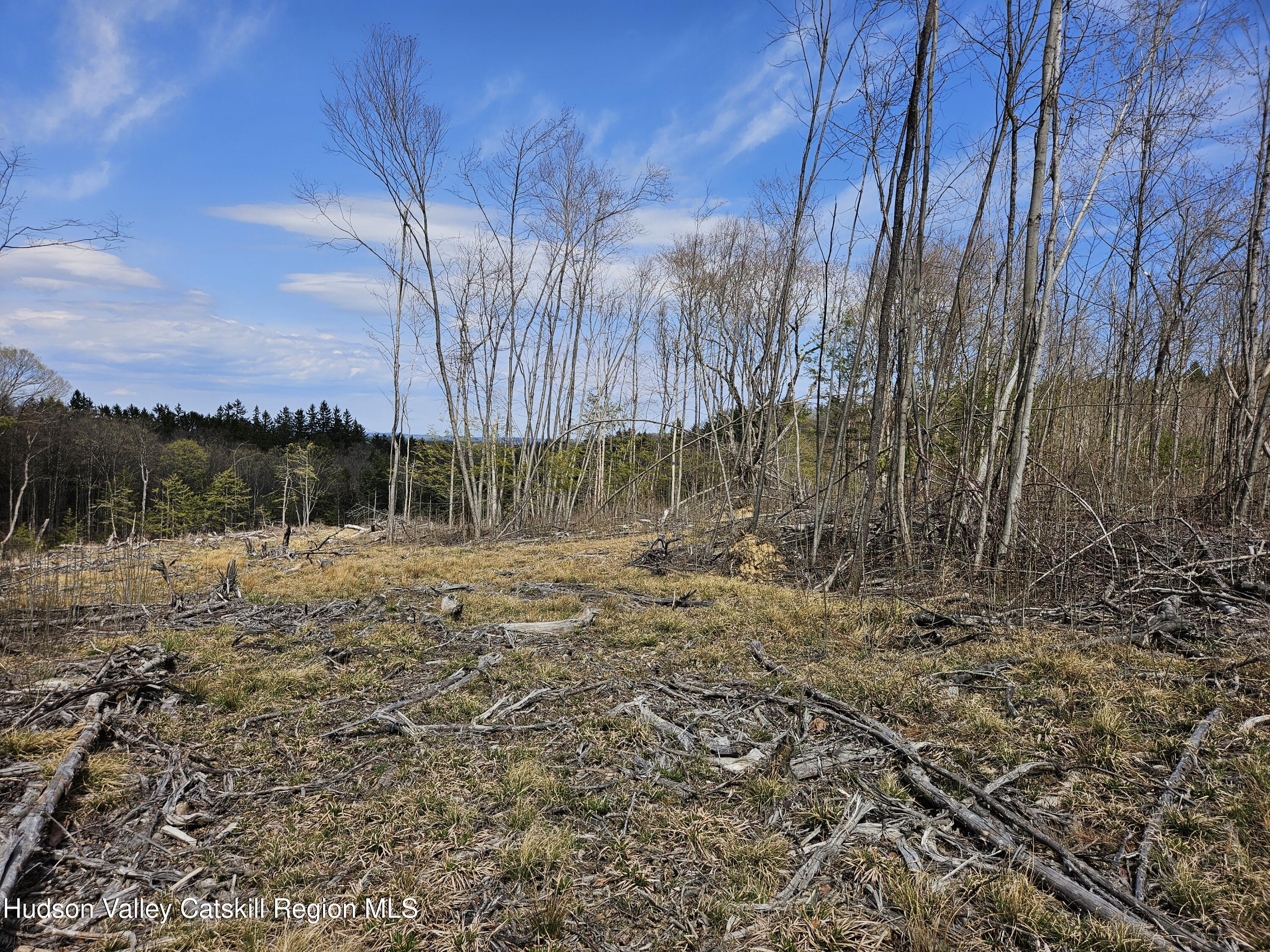 295 Shellstone Road Amsterdam, NY 12010 - Photo 44 of 98 20250424_143751