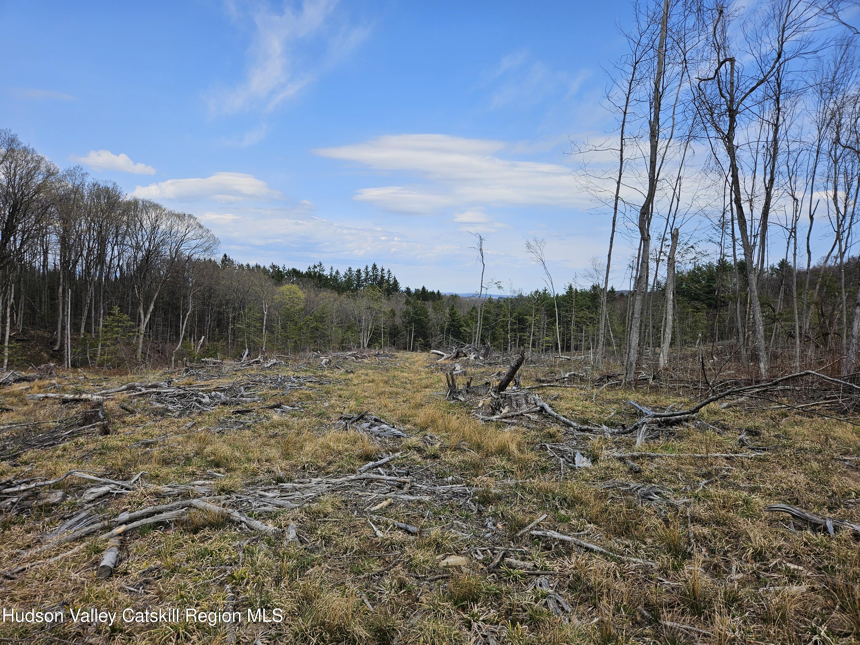 295 Shellstone Road Amsterdam, NY 12010 - Photo 45 of 98 20250424_143819