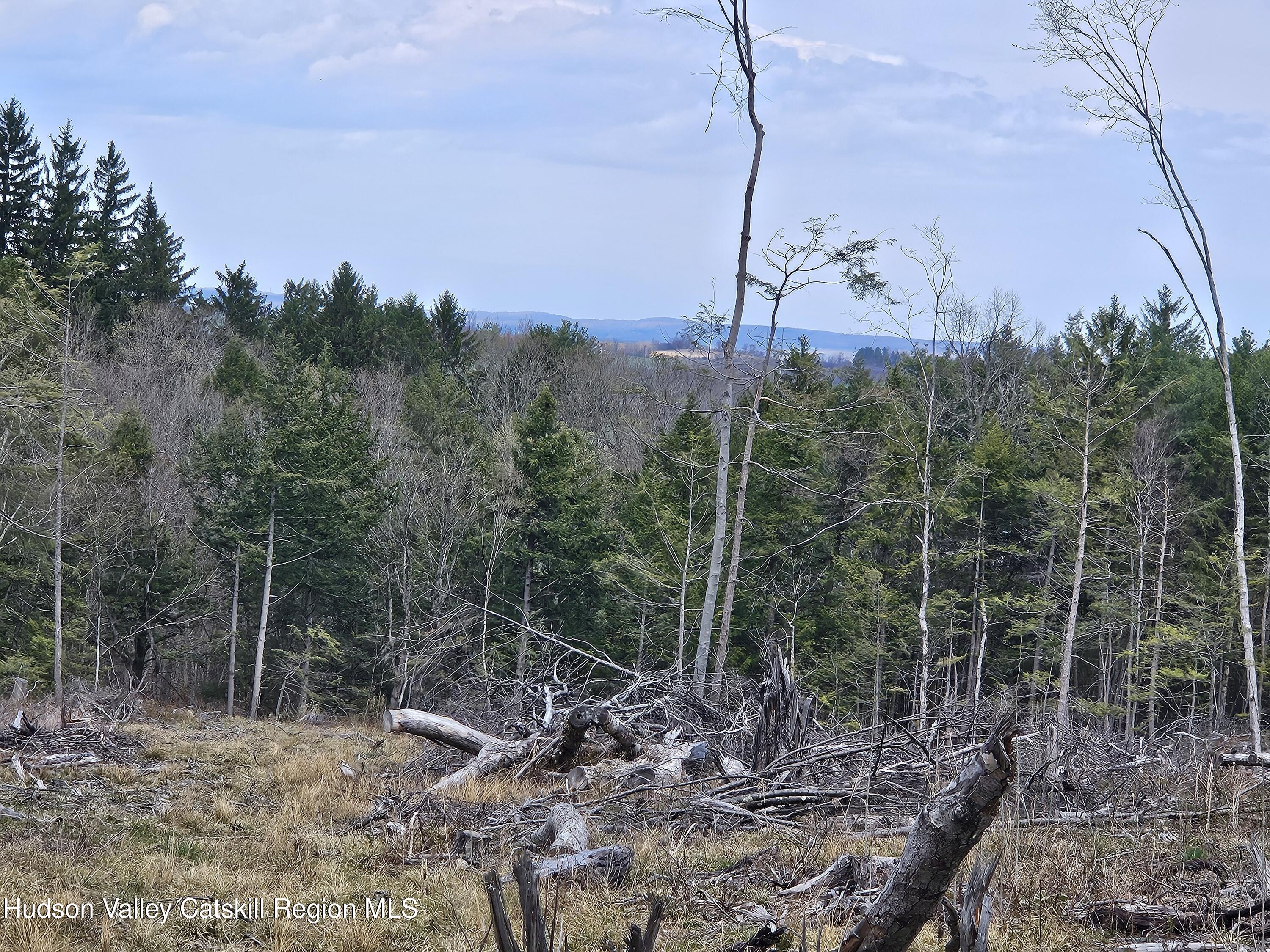 295 Shellstone Road Amsterdam, NY 12010 - Photo 46 of 98 20250424_143822