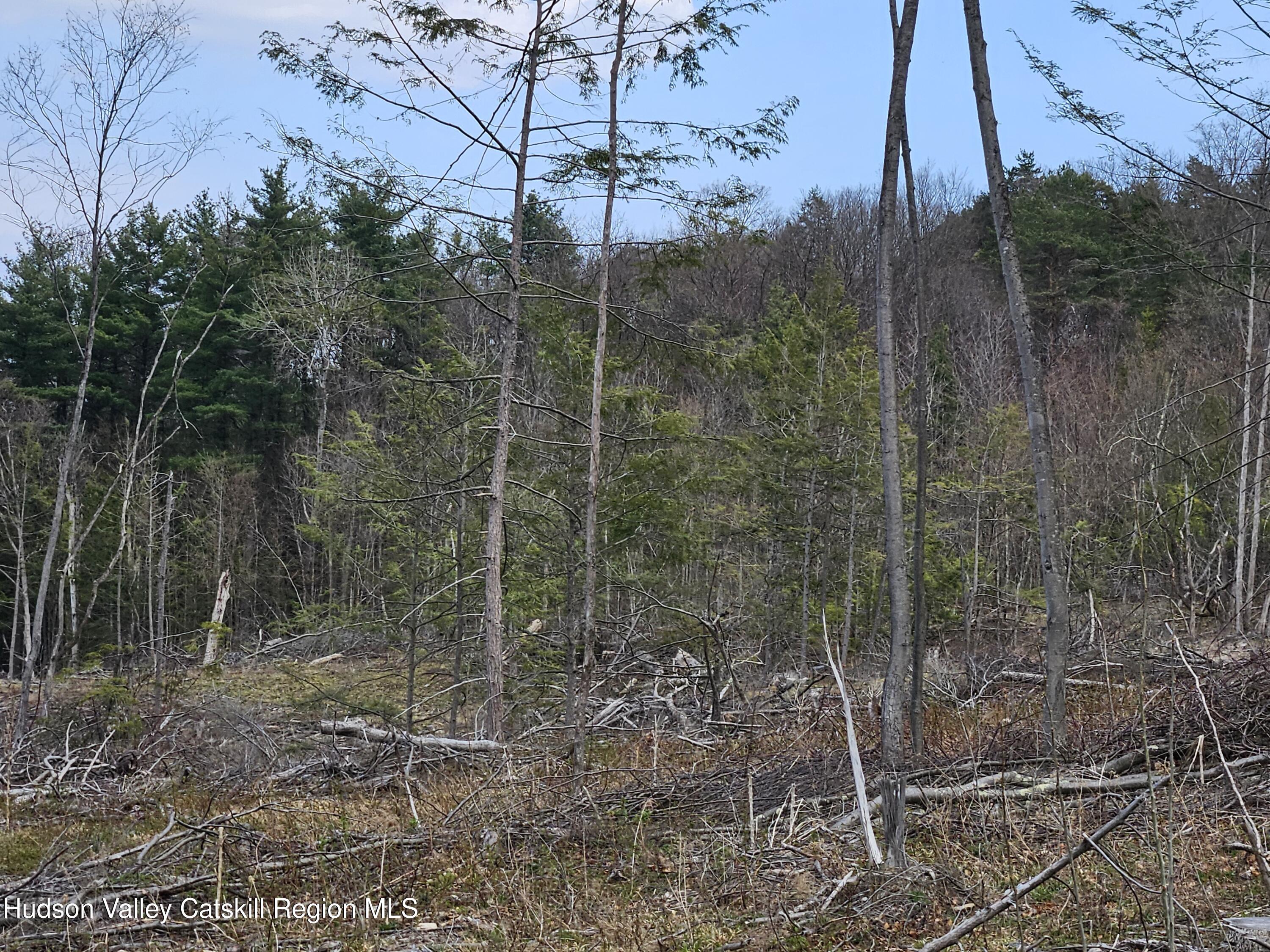 295 Shellstone Road Amsterdam, NY 12010 - Photo 47 of 98 20250424_143912