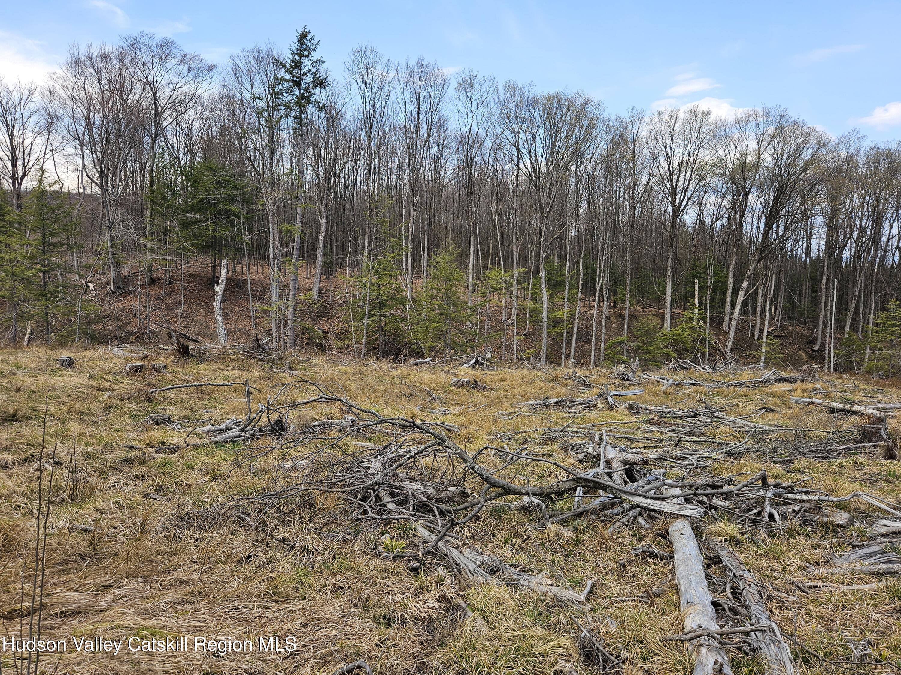 295 Shellstone Road Amsterdam, NY 12010 - Photo 47 of 98 20250424_143827