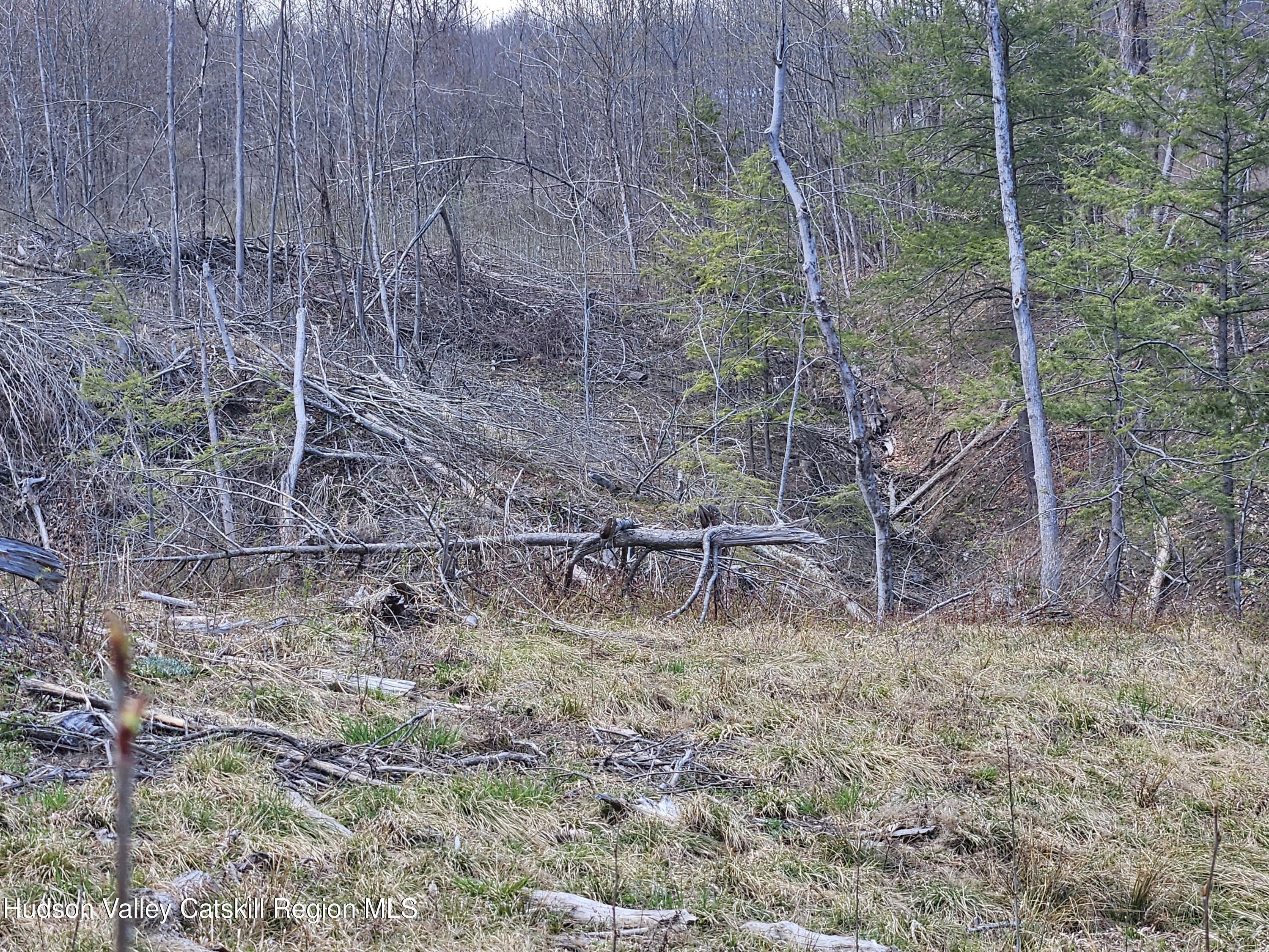 295 Shellstone Road Amsterdam, NY 12010 - Photo 48 of 98 20250424_143831