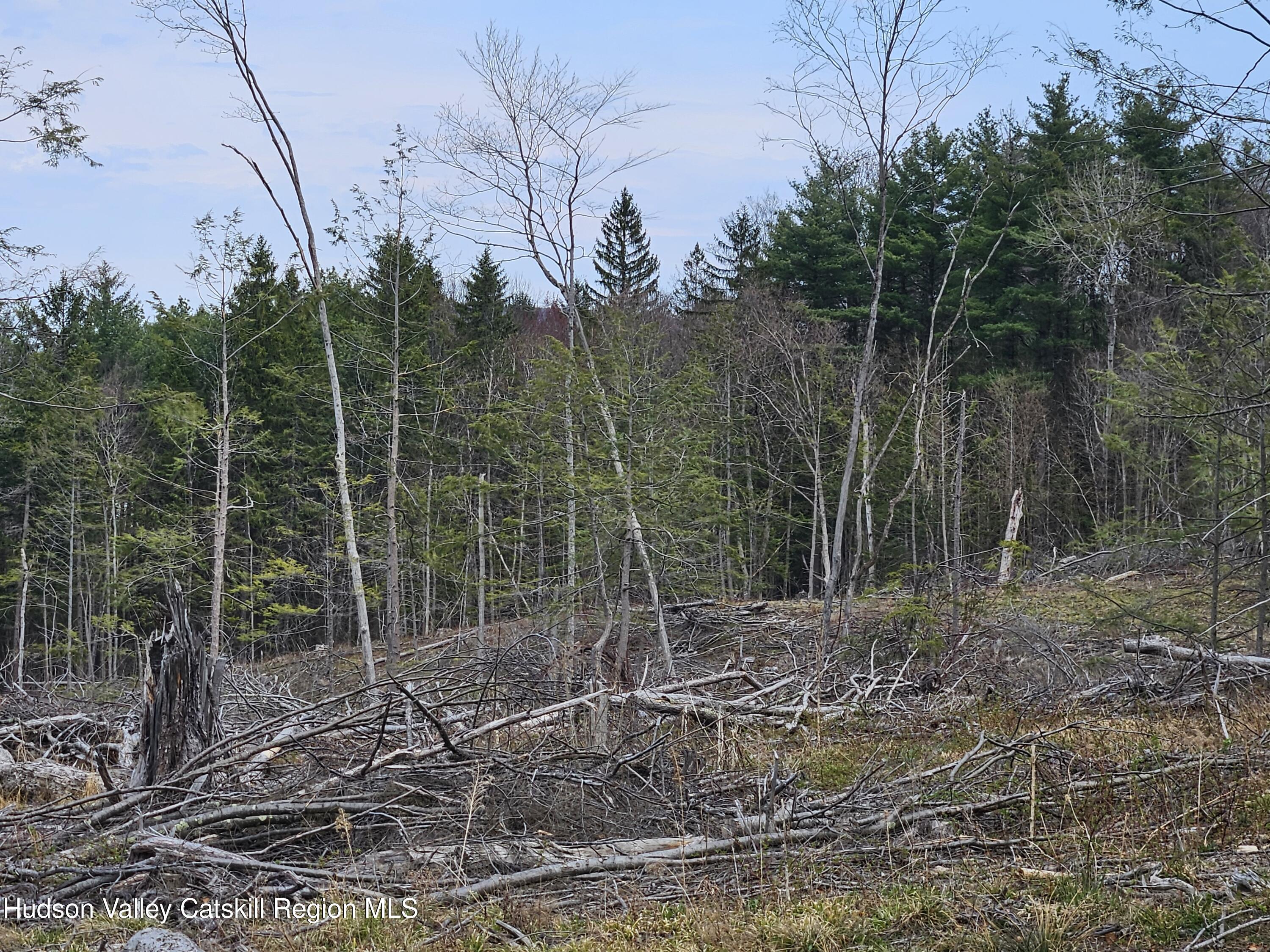 295 Shellstone Road Amsterdam, NY 12010 - Photo 48 of 98 20250424_143914