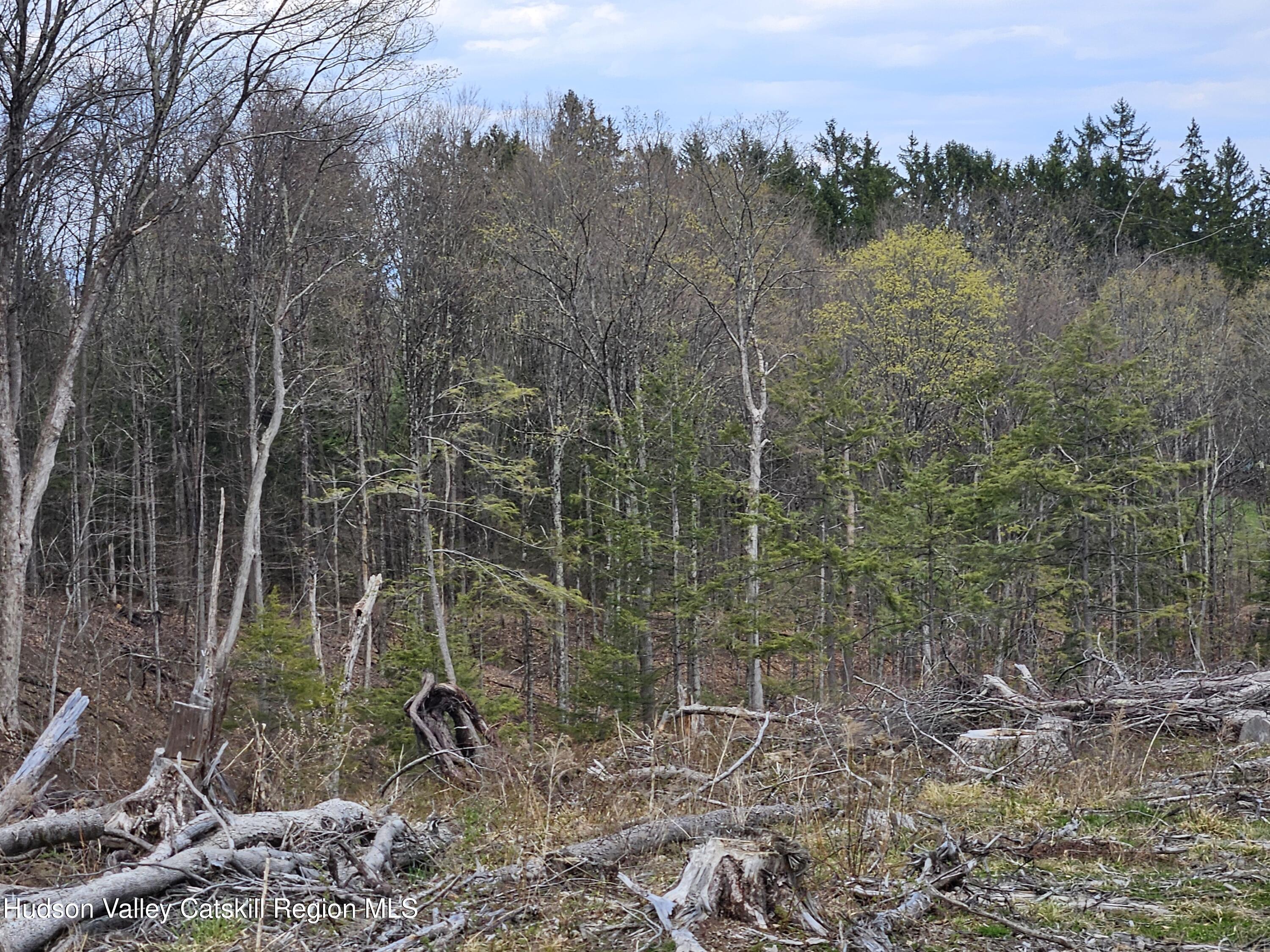 295 Shellstone Road Amsterdam, NY 12010 - Photo 50 of 98 20250424_143916