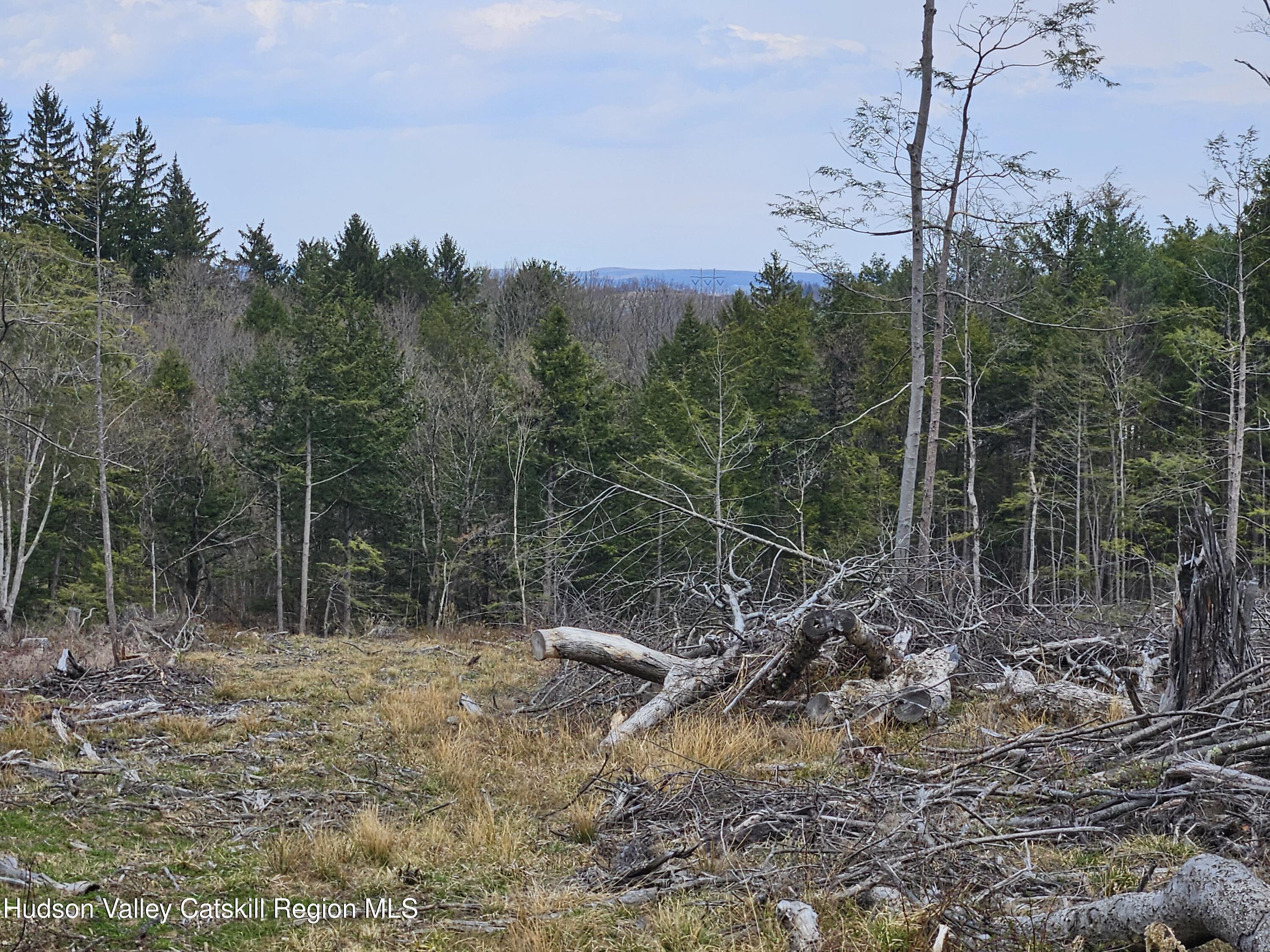 295 Shellstone Road Amsterdam, NY 12010 - Photo 51 of 98 20250424_143915