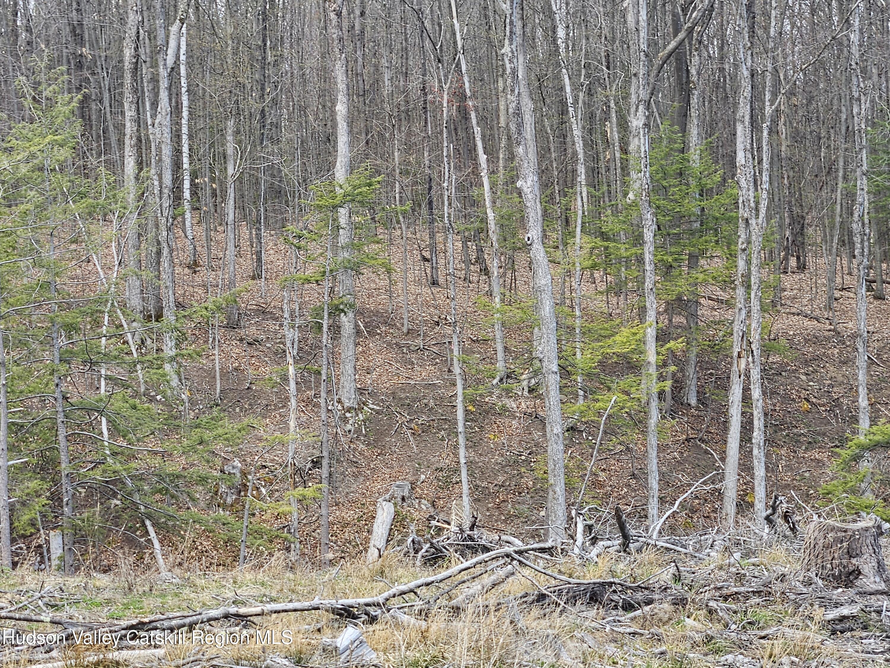 295 Shellstone Road Amsterdam, NY 12010 - Photo 53 of 98 20250424_143918