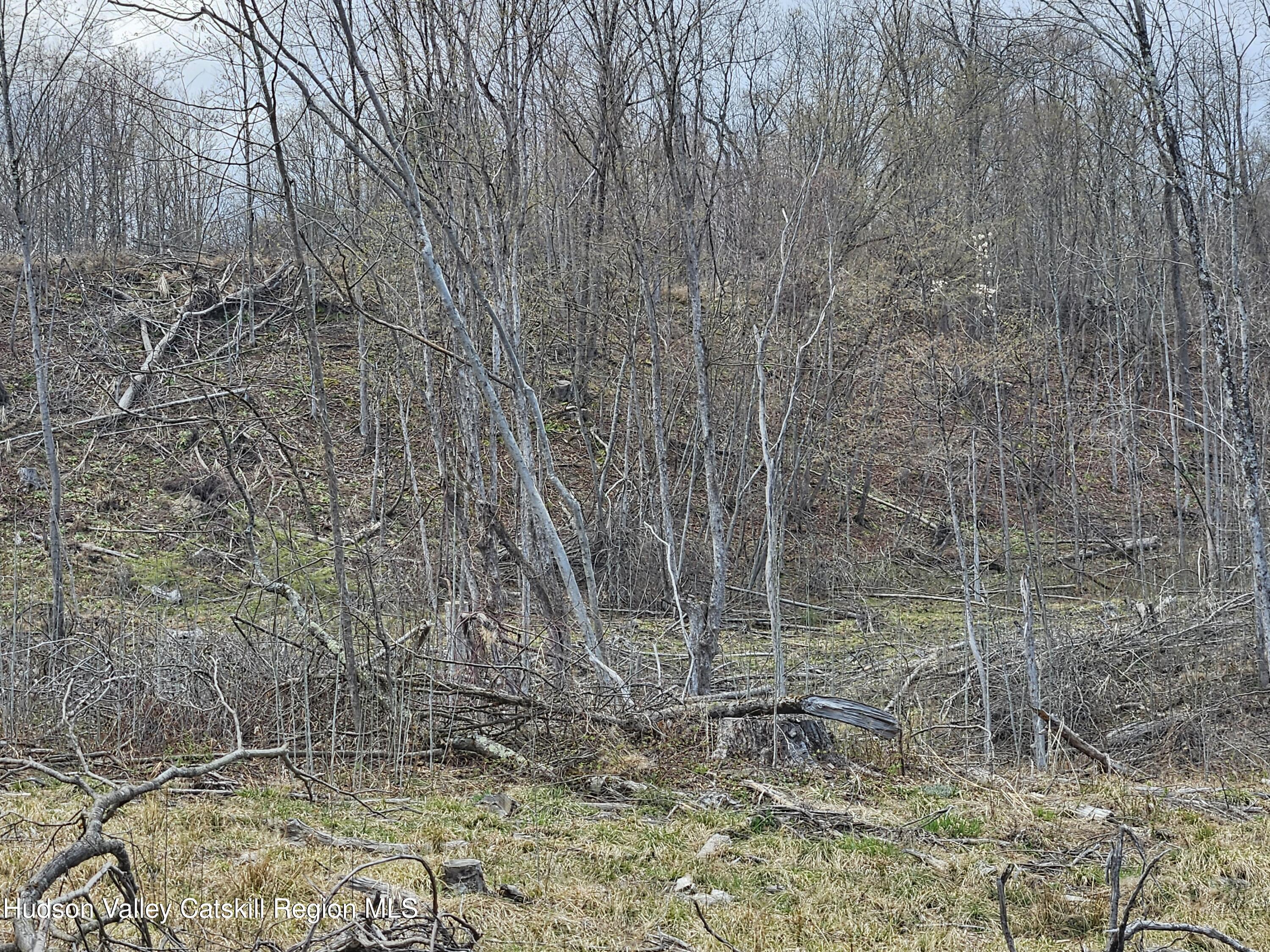295 Shellstone Road Amsterdam, NY 12010 - Photo 53 of 98 20250424_143934