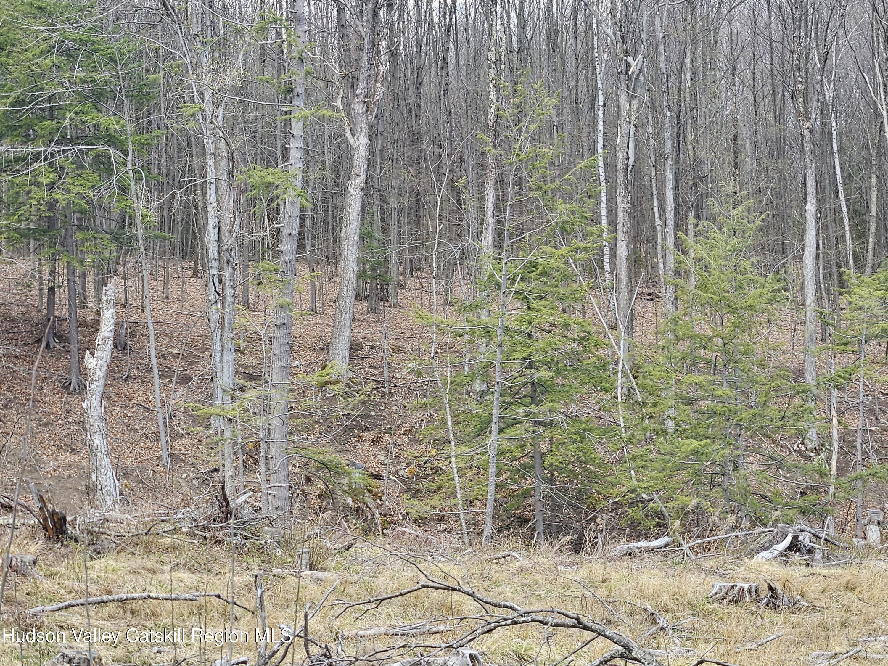 295 Shellstone Road Amsterdam, NY 12010 - Photo 54 of 98 20250424_144003