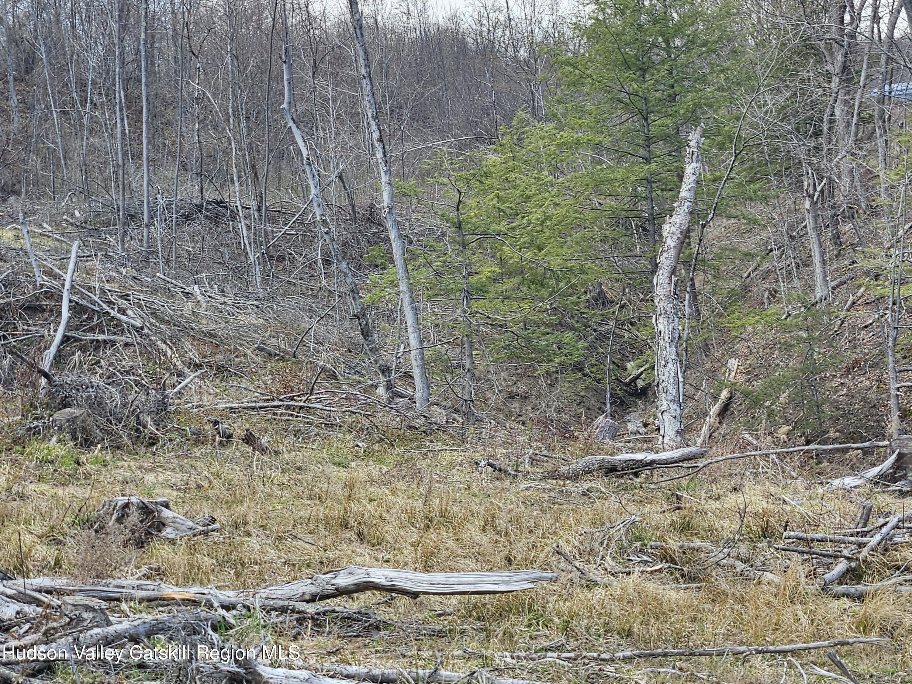 295 Shellstone Road Amsterdam, NY 12010 - Photo 54 of 98 20250424_143922