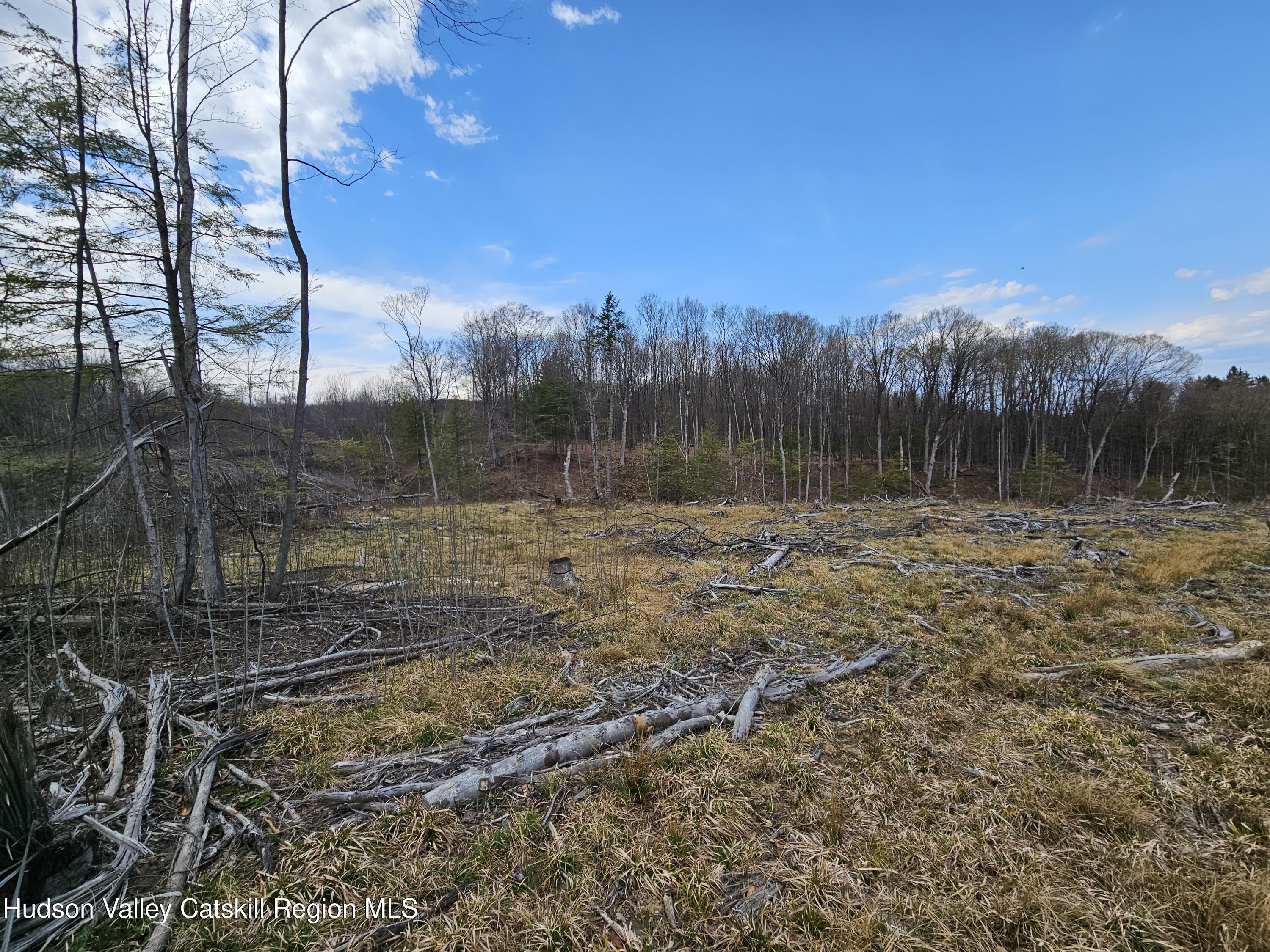 295 Shellstone Road Amsterdam, NY 12010 - Photo 55 of 98 20250424_144006