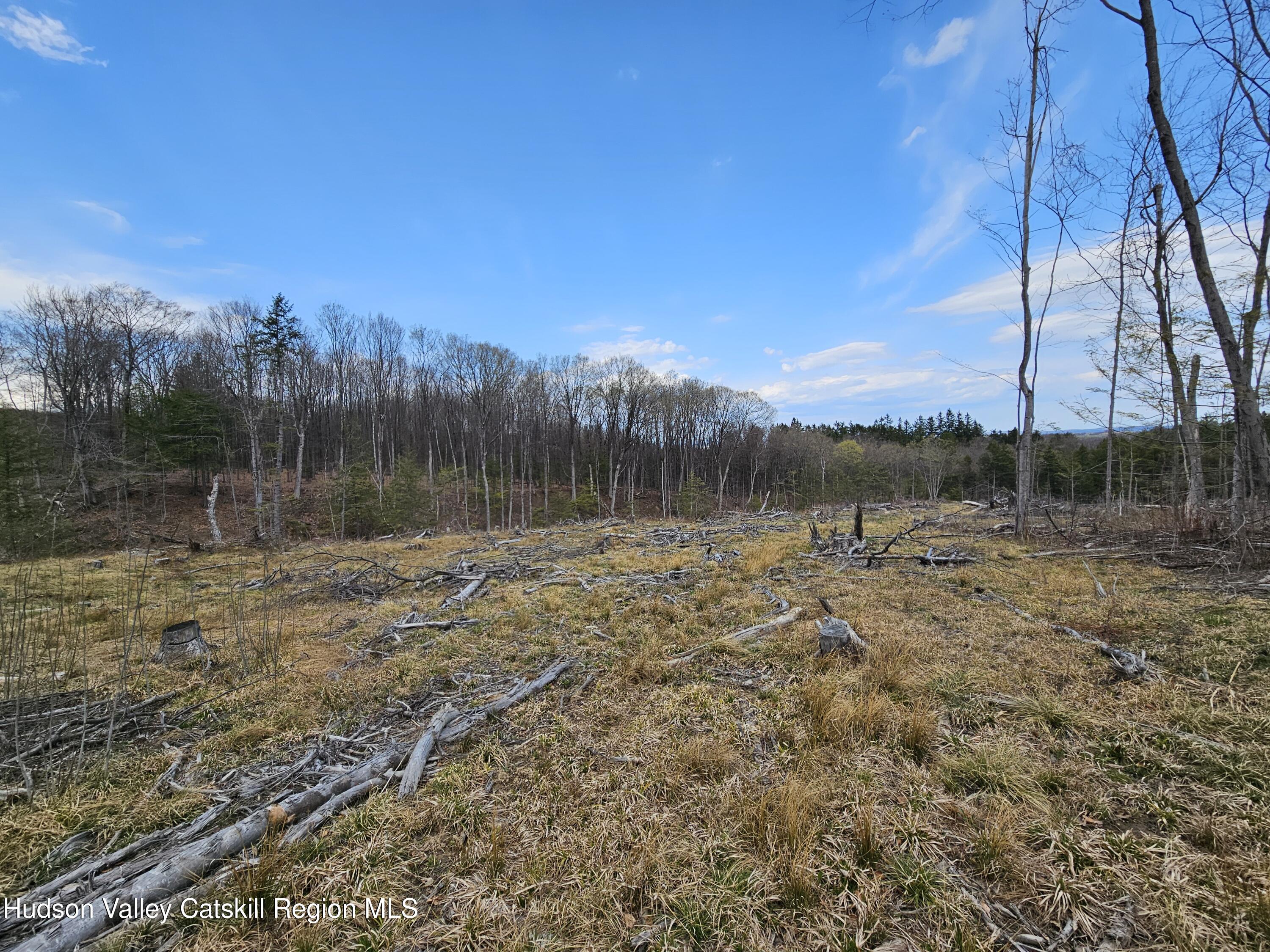 295 Shellstone Road Amsterdam, NY 12010 - Photo 56 of 98 20250424_144007