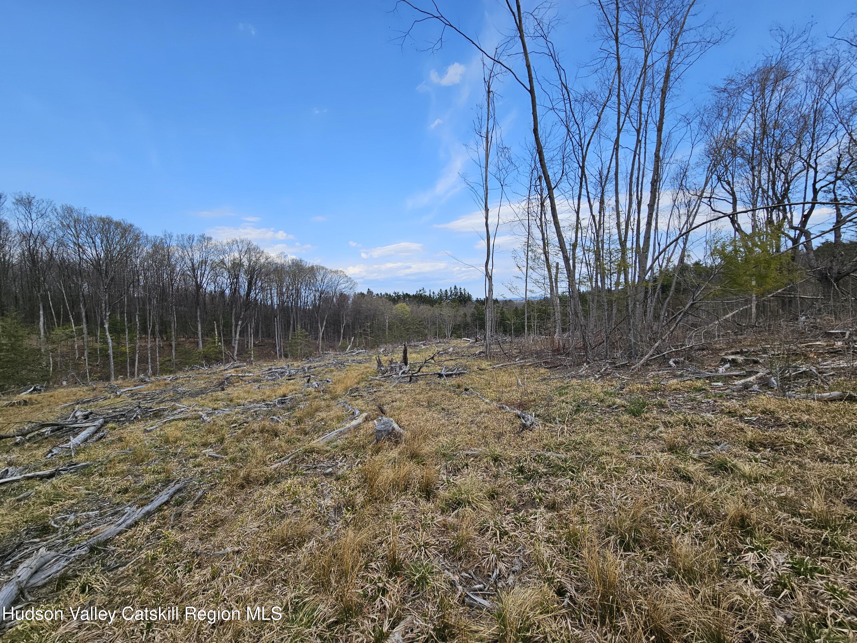 295 Shellstone Road Amsterdam, NY 12010 - Photo 57 of 98 20250424_144009