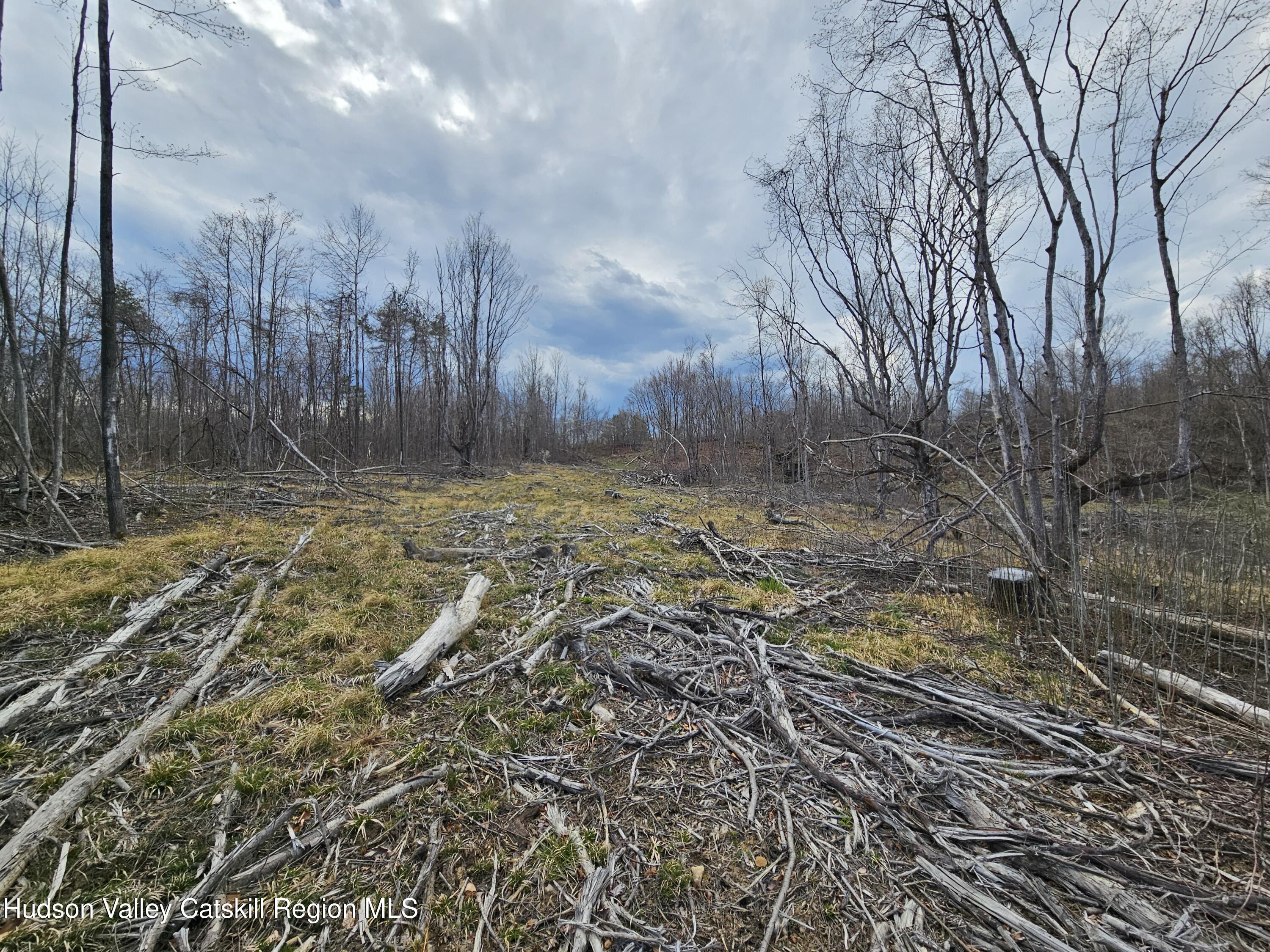 295 Shellstone Road Amsterdam, NY 12010 - Photo 60 of 98 20250424_144014