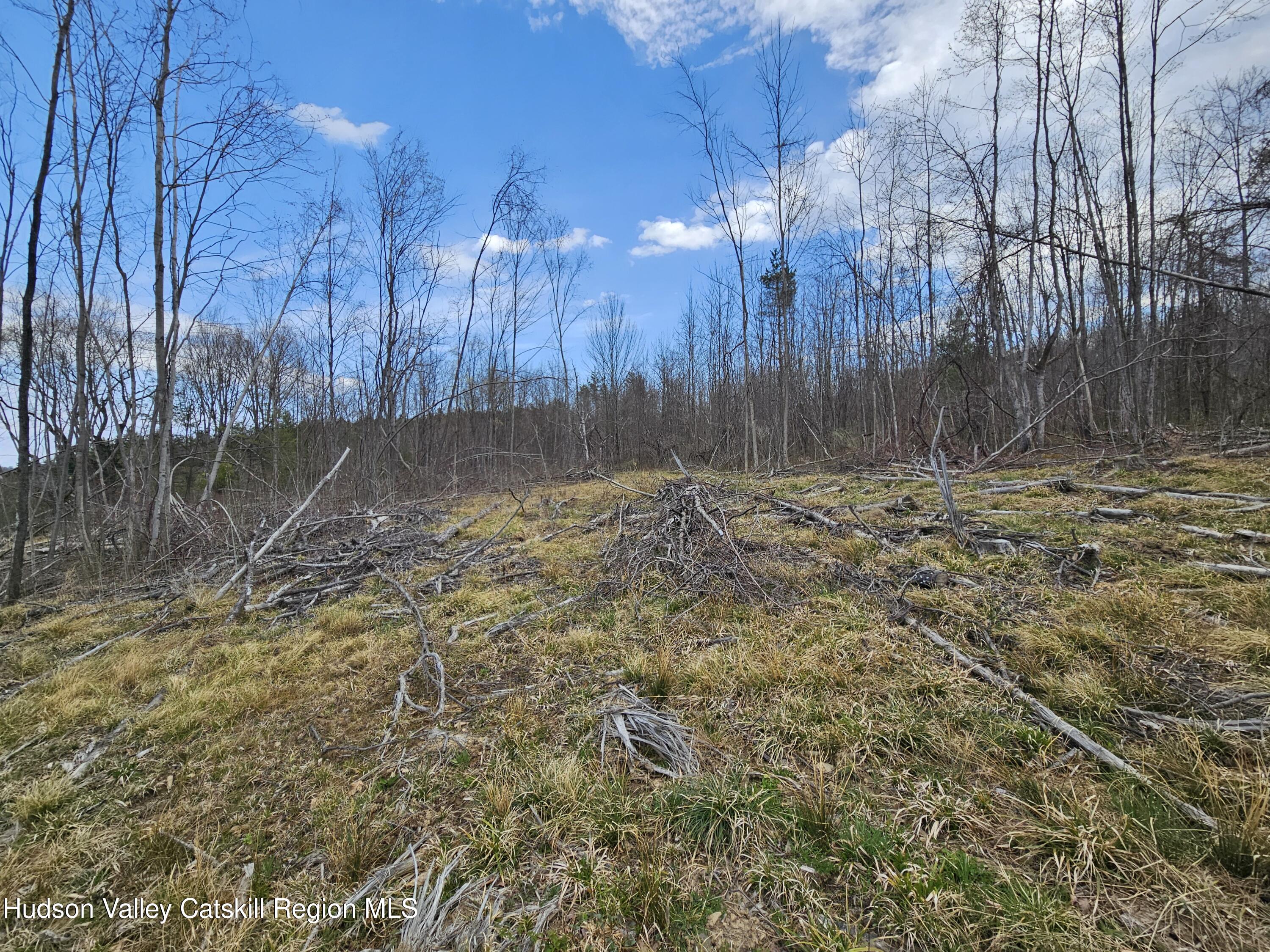 295 Shellstone Road Amsterdam, NY 12010 - Photo 60 of 98 20250424_144040