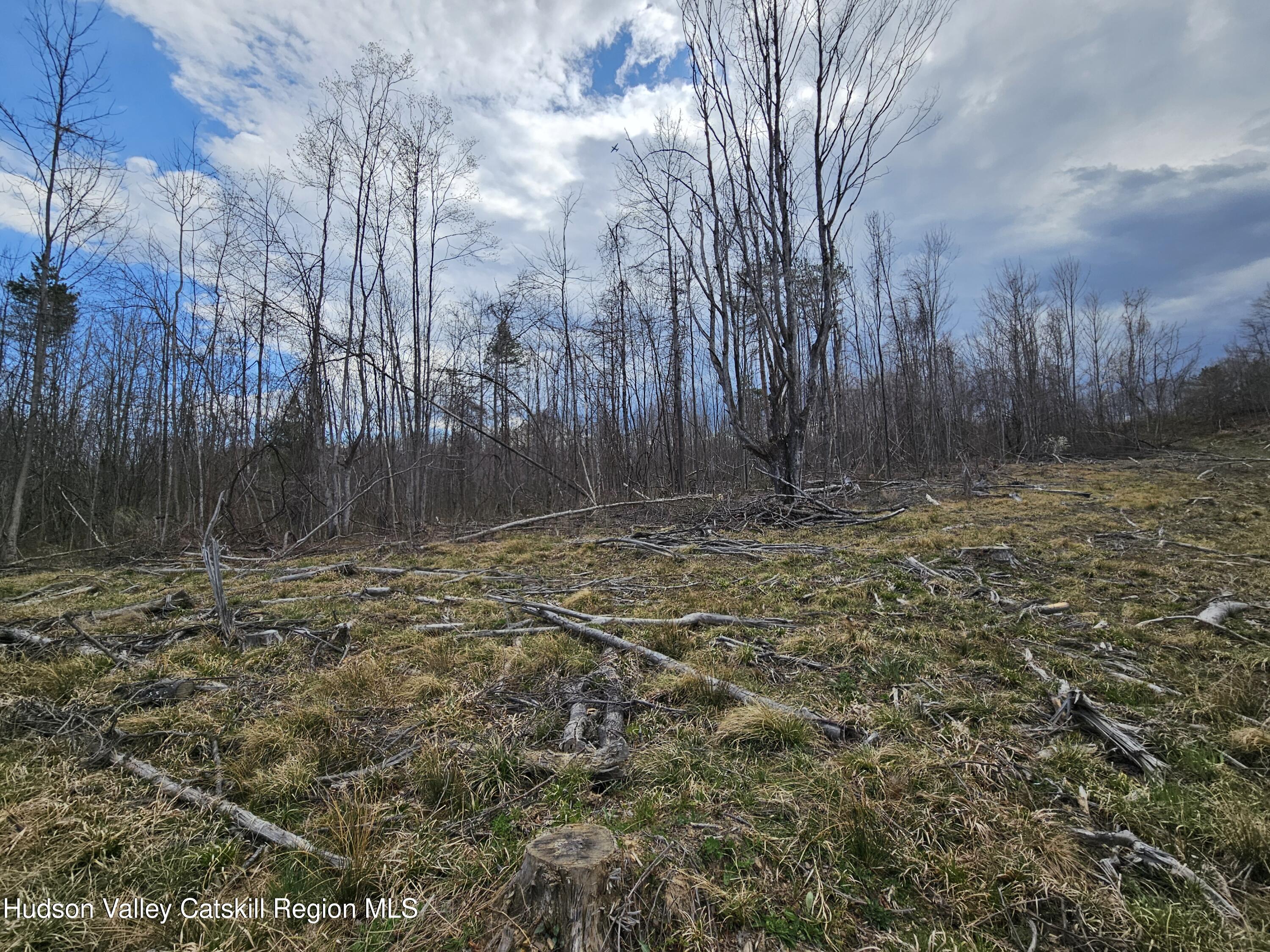 295 Shellstone Road Amsterdam, NY 12010 - Photo 61 of 98 20250424_144038