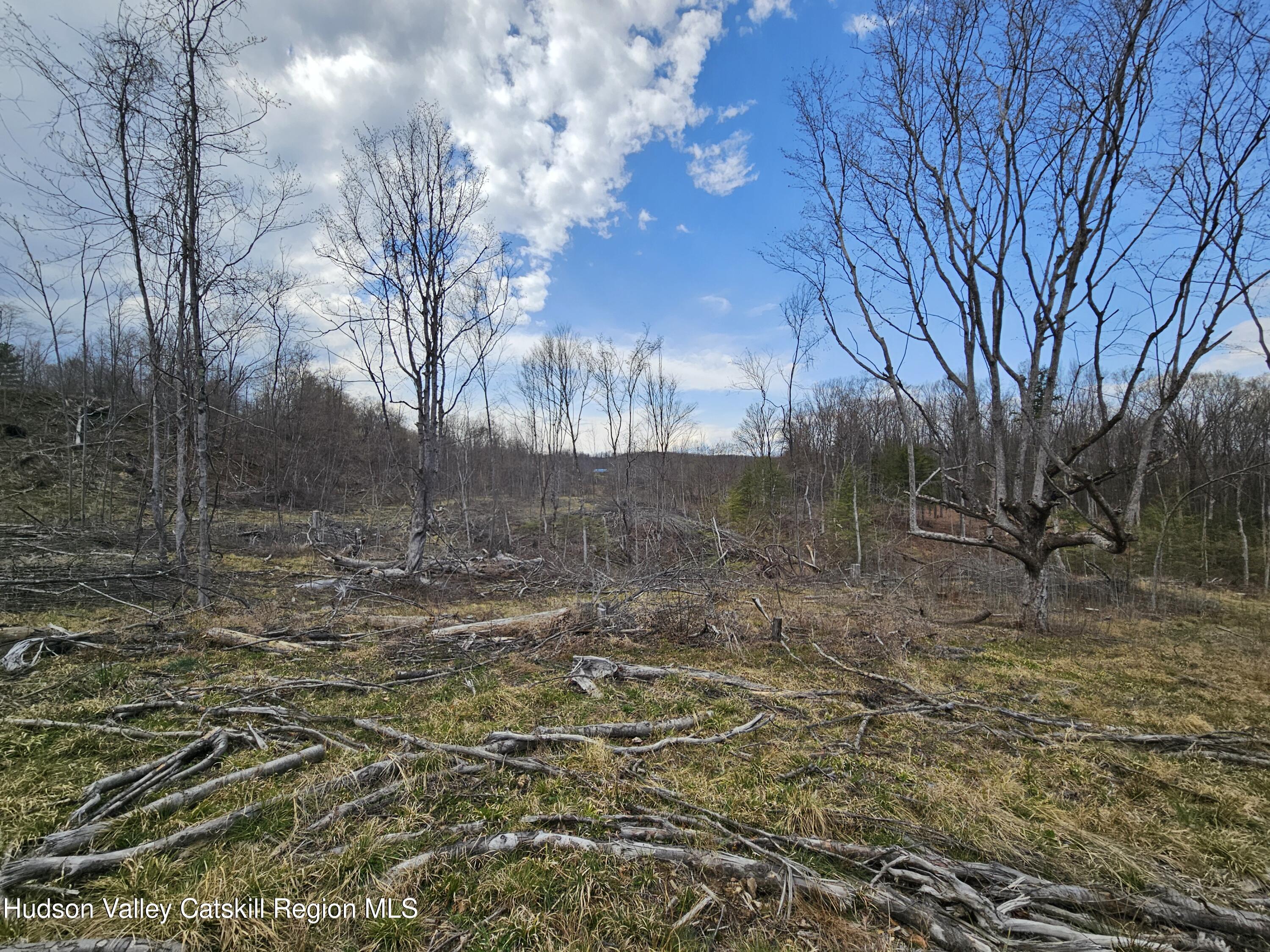 295 Shellstone Road Amsterdam, NY 12010 - Photo 61 of 98 20250424_144048