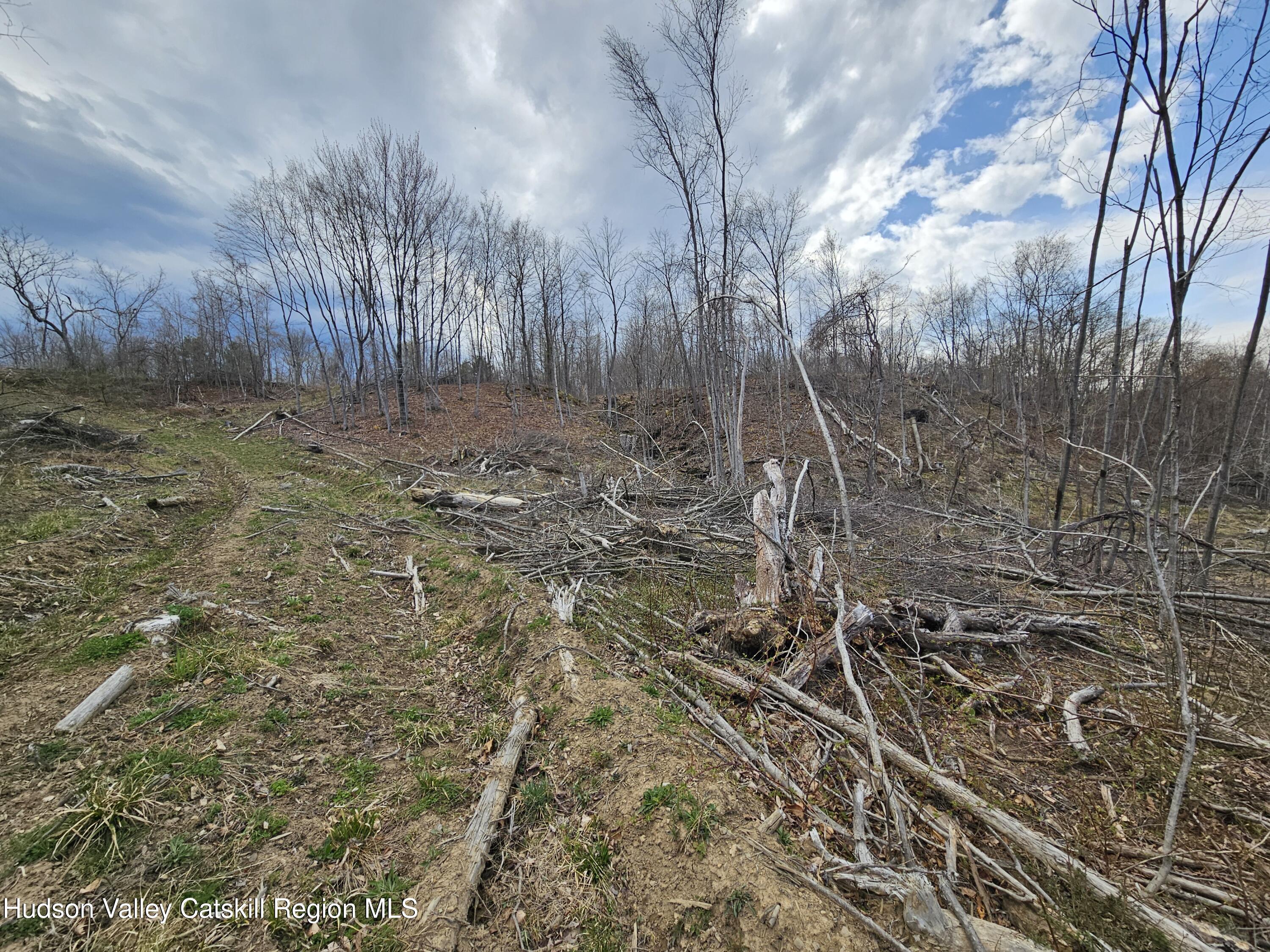 295 Shellstone Road Amsterdam, NY 12010 - Photo 62 of 98 20250424_144144