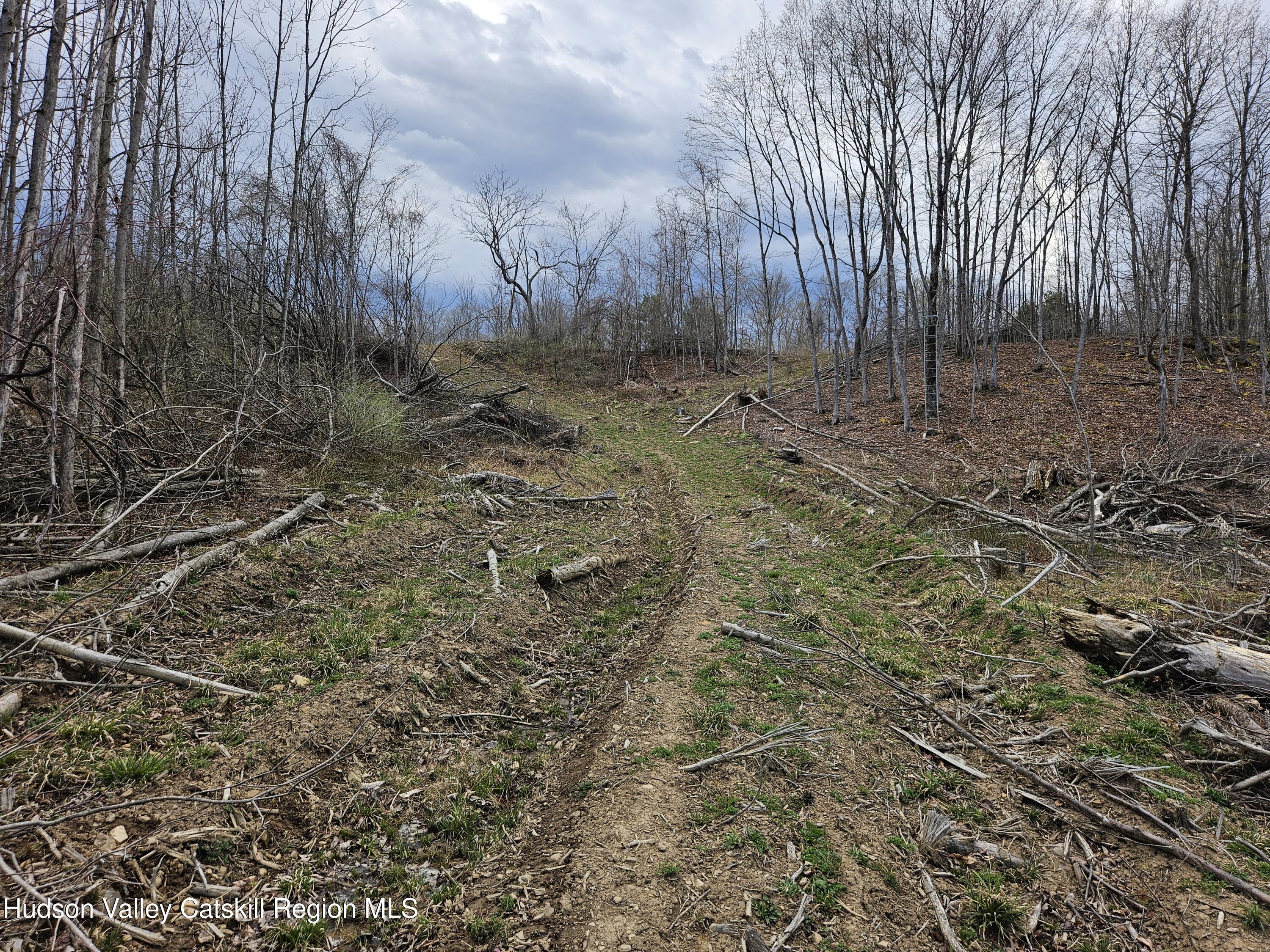 295 Shellstone Road Amsterdam, NY 12010 - Photo 64 of 98 20250424_144203