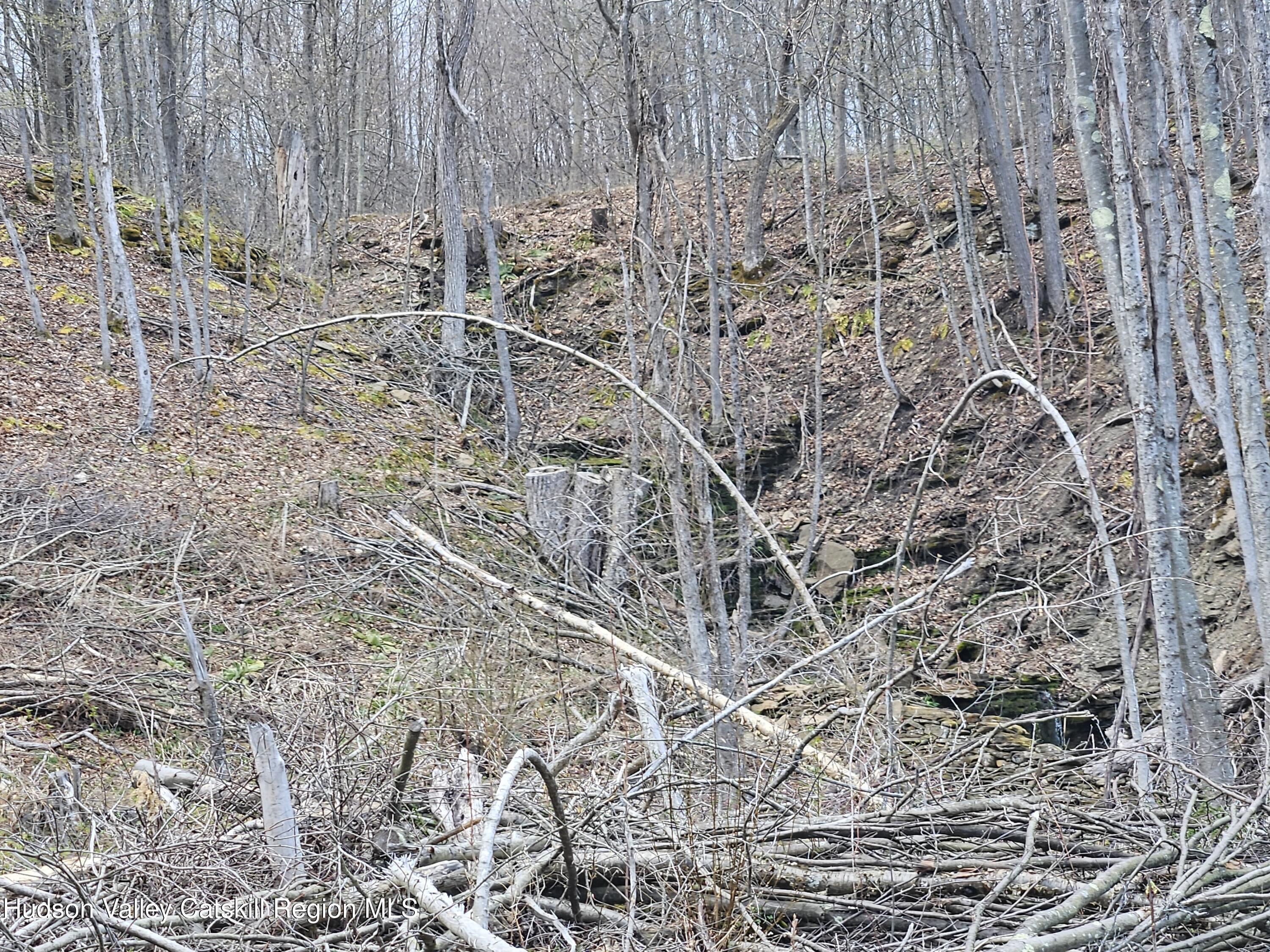 295 Shellstone Road Amsterdam, NY 12010 - Photo 65 of 98 20250424_144151