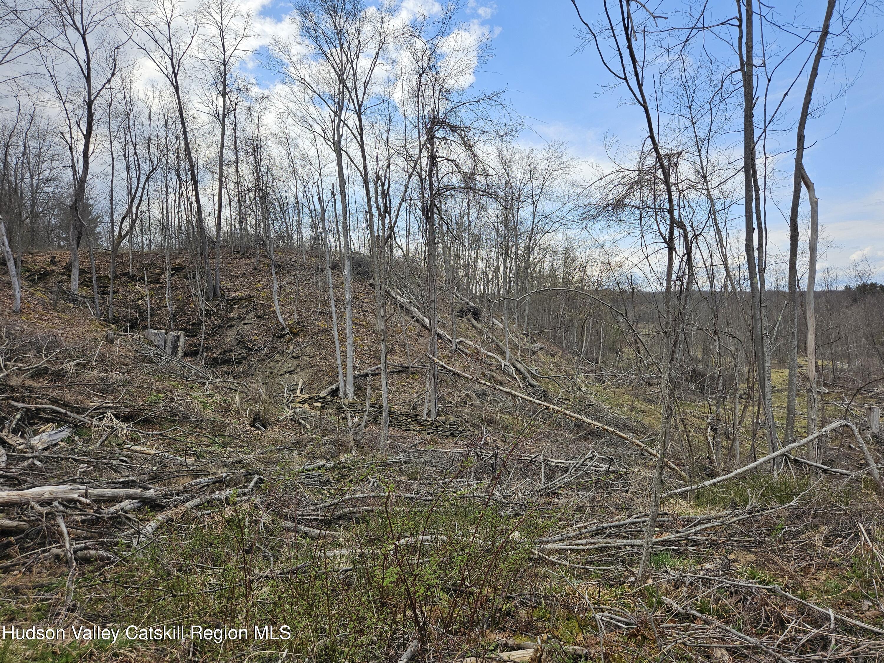 295 Shellstone Road Amsterdam, NY 12010 - Photo 67 of 98 20250424_144221