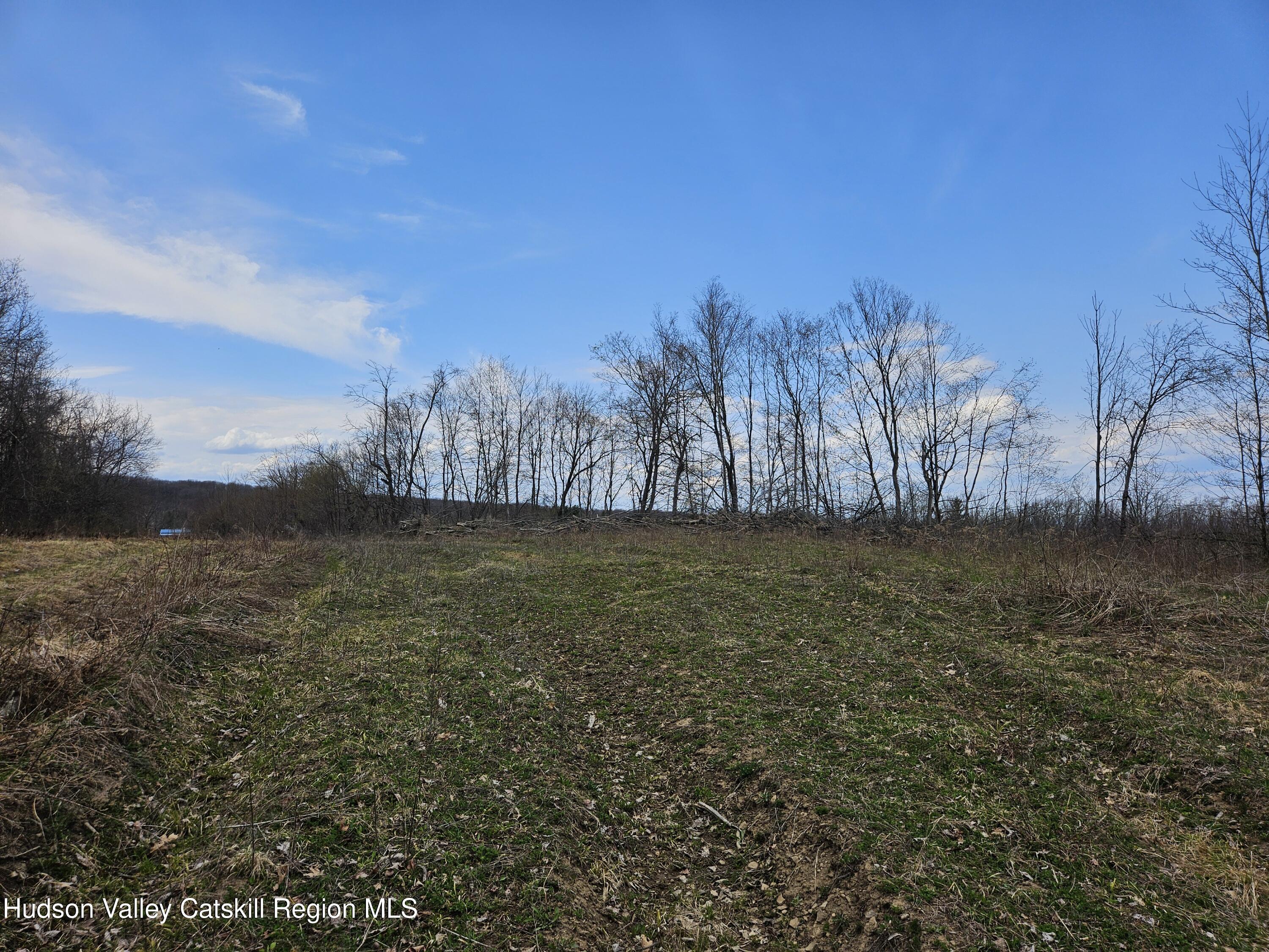 295 Shellstone Road Amsterdam, NY 12010 - Photo 67 of 98 20250424_144405
