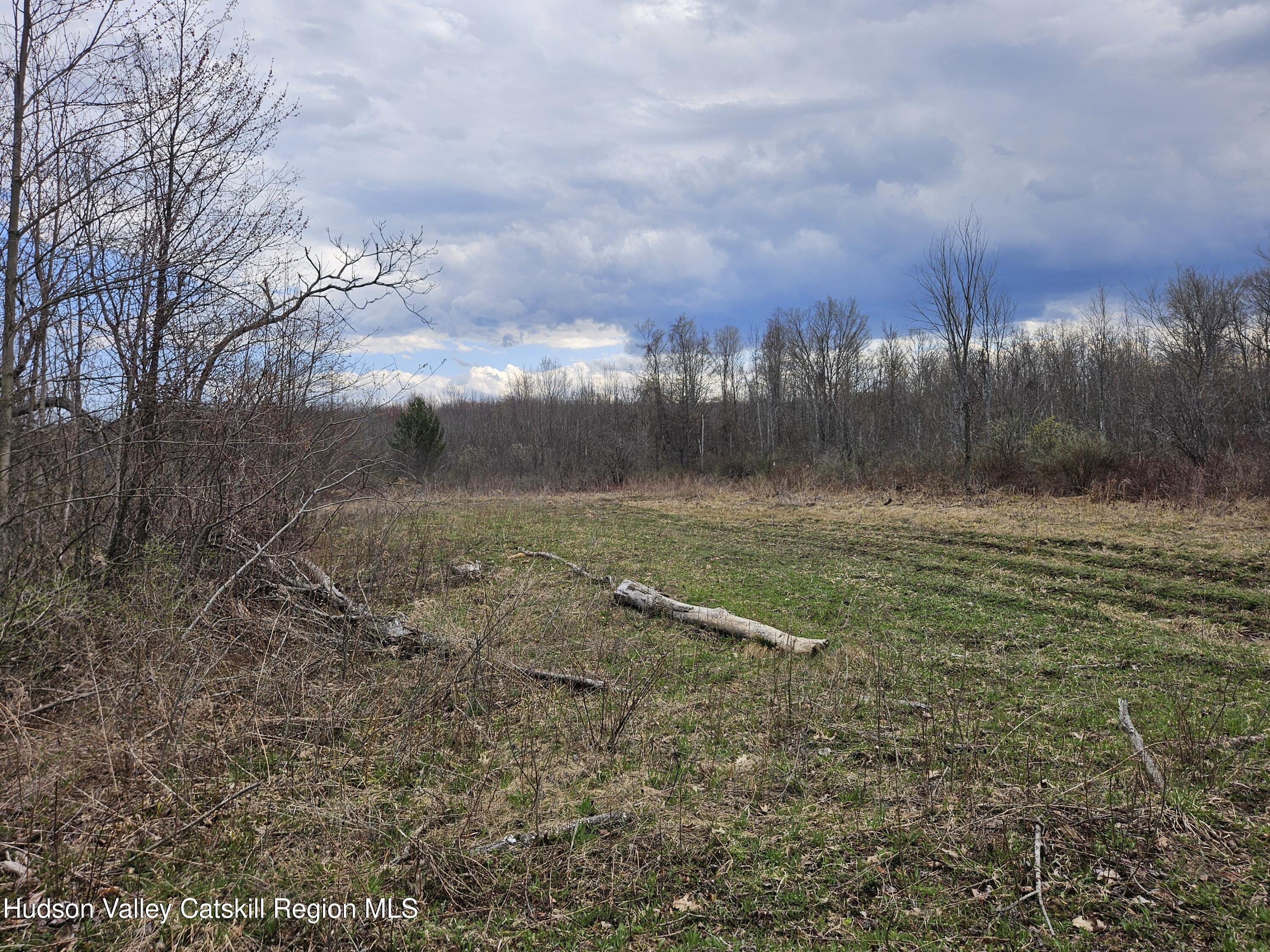 295 Shellstone Road Amsterdam, NY 12010 - Photo 68 of 98 20250424_144321