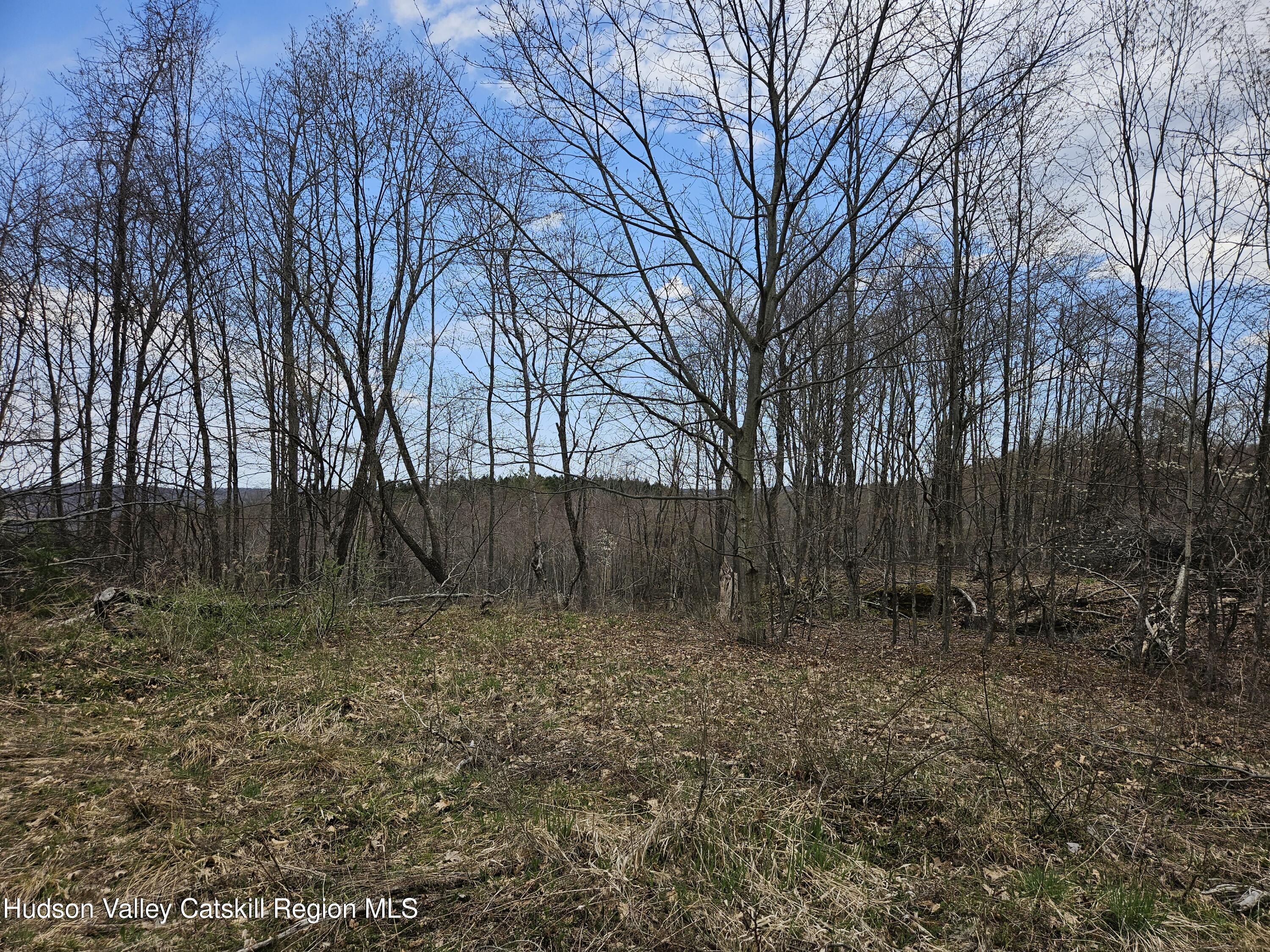 295 Shellstone Road Amsterdam, NY 12010 - Photo 68 of 98 20250424_144411