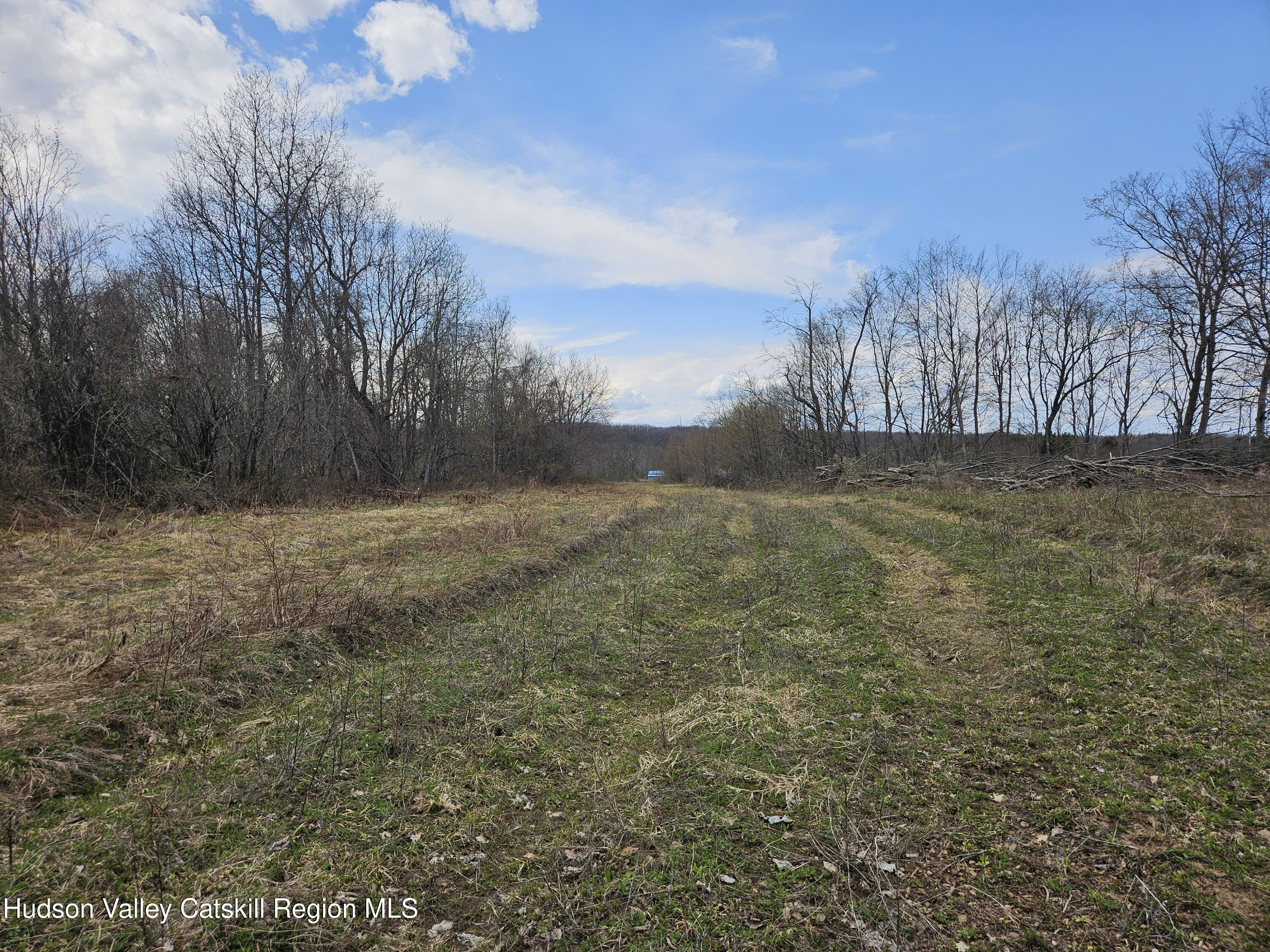 295 Shellstone Road Amsterdam, NY 12010 - Photo 69 of 98 20250424_144420