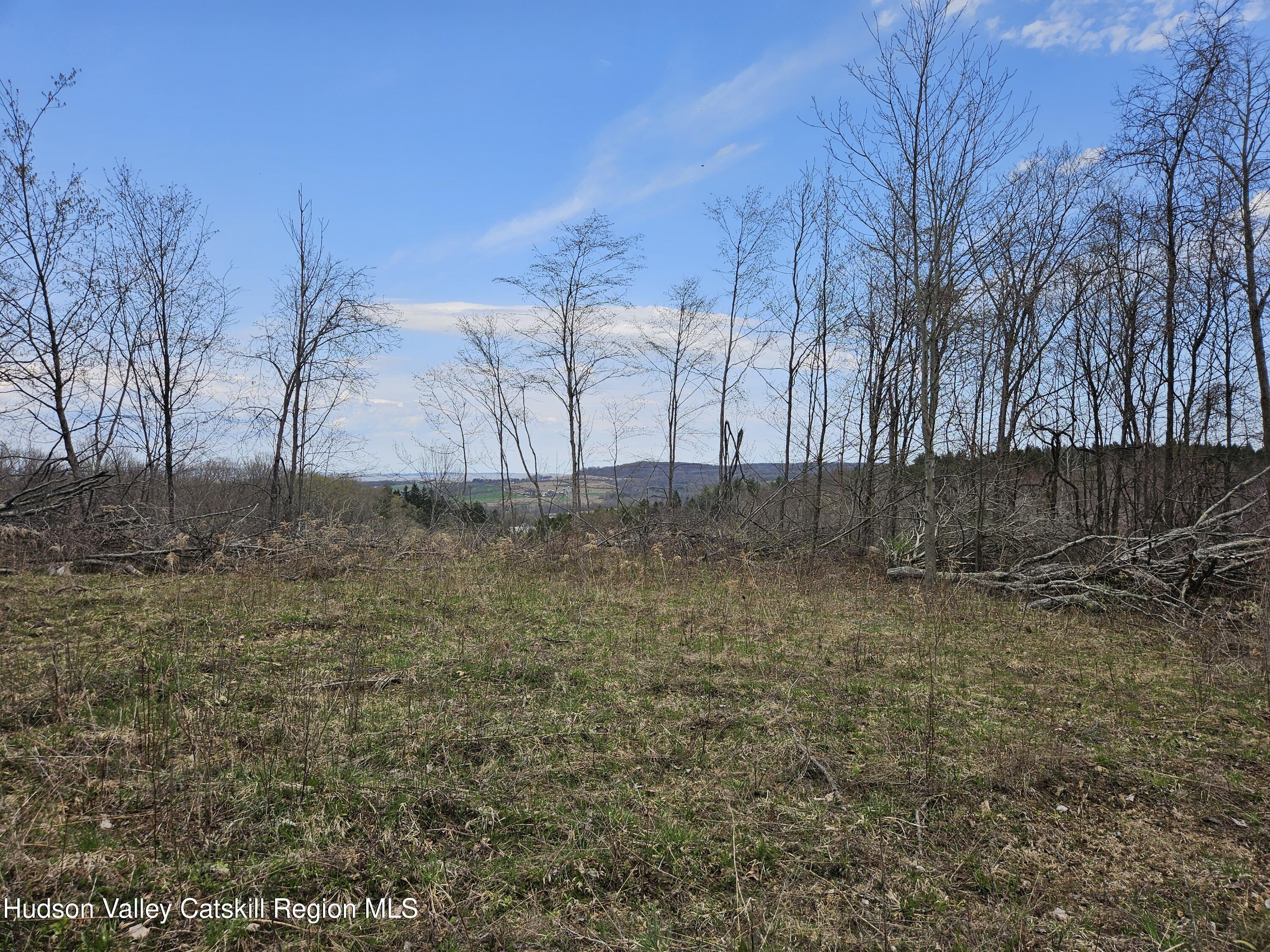 295 Shellstone Road Amsterdam, NY 12010 - Photo 72 of 98 20250424_144425