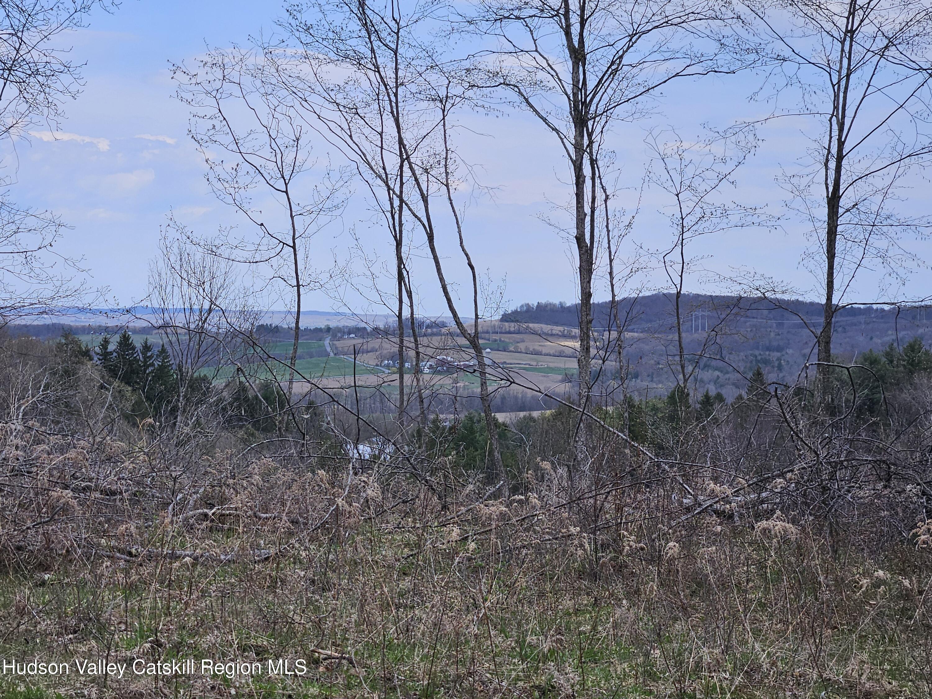 295 Shellstone Road Amsterdam, NY 12010 - Photo 72 of 98 20250424_144437