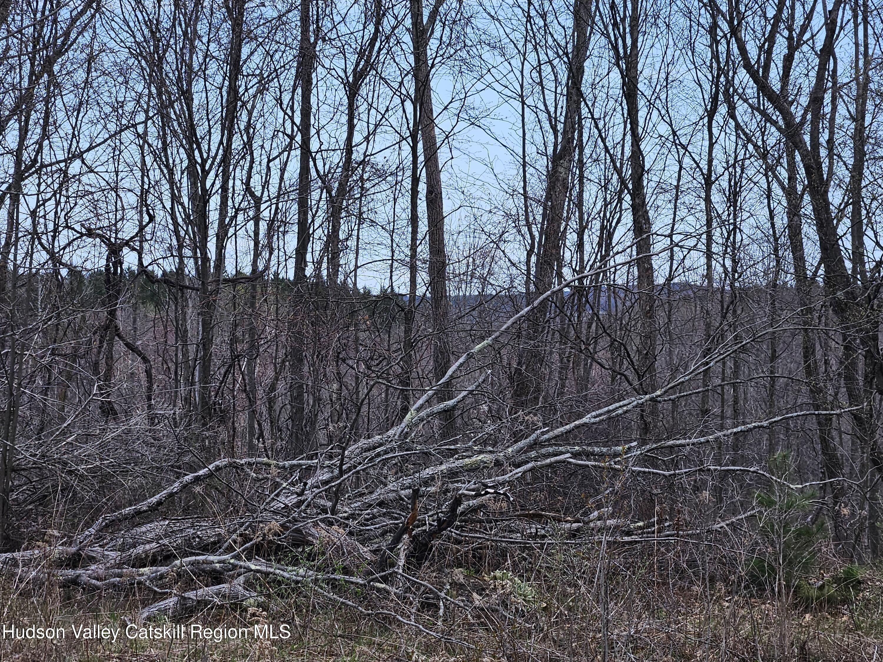 295 Shellstone Road Amsterdam, NY 12010 - Photo 73 of 98 20250424_144434