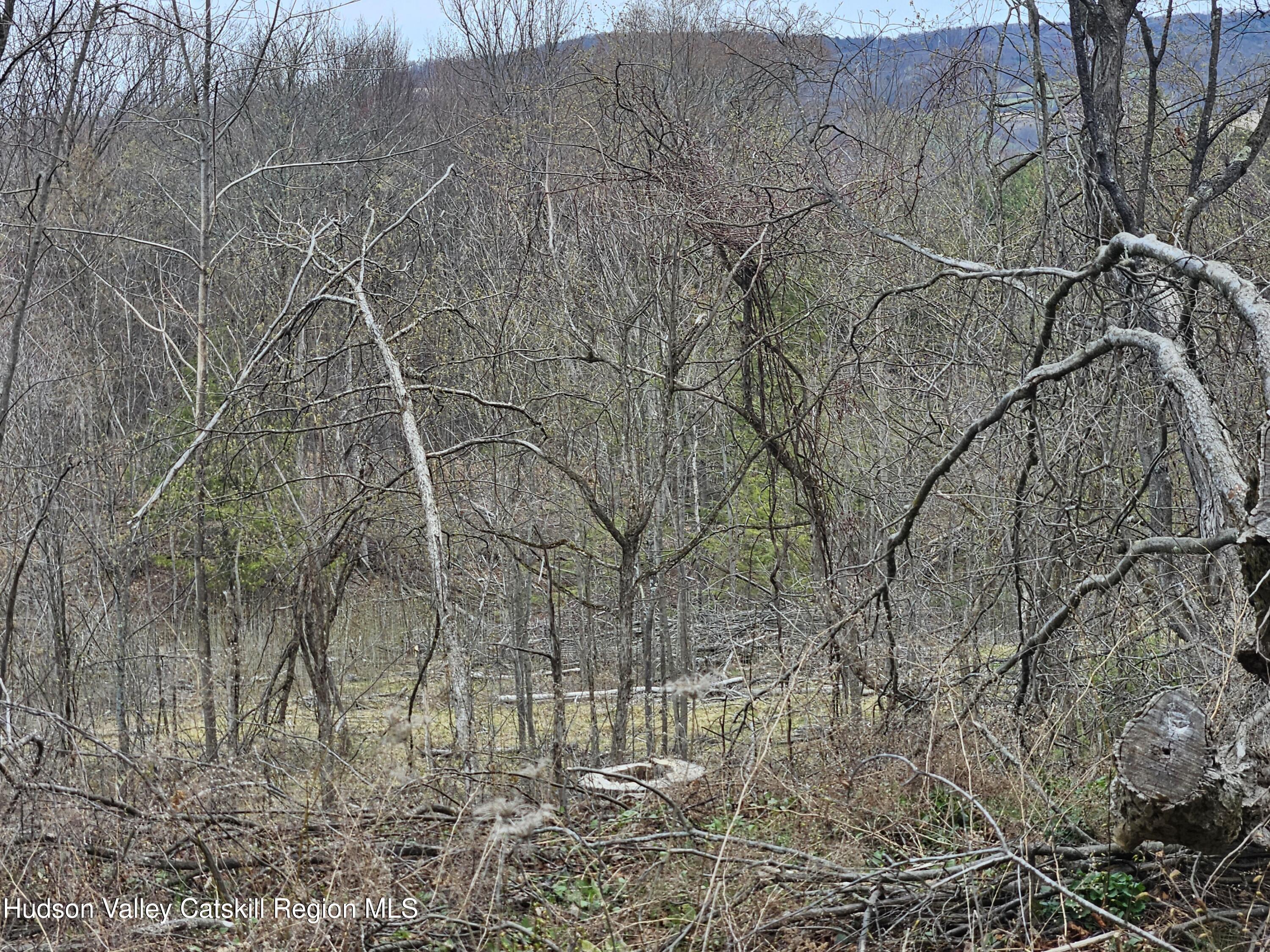 295 Shellstone Road Amsterdam, NY 12010 - Photo 74 of 98 20250424_144557