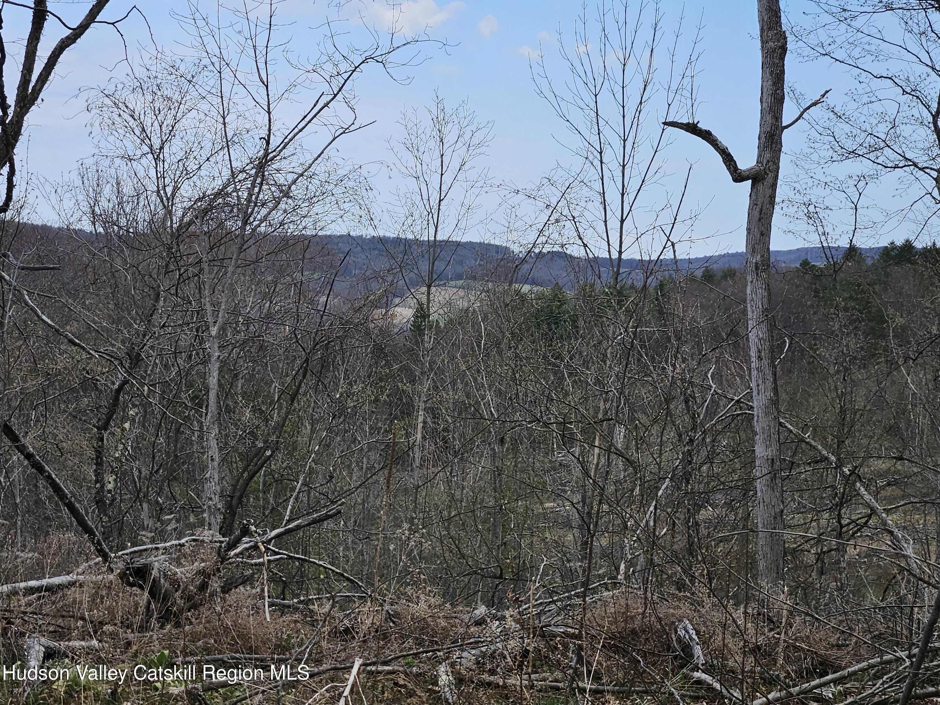 295 Shellstone Road Amsterdam, NY 12010 - Photo 75 of 98 20250424_144615