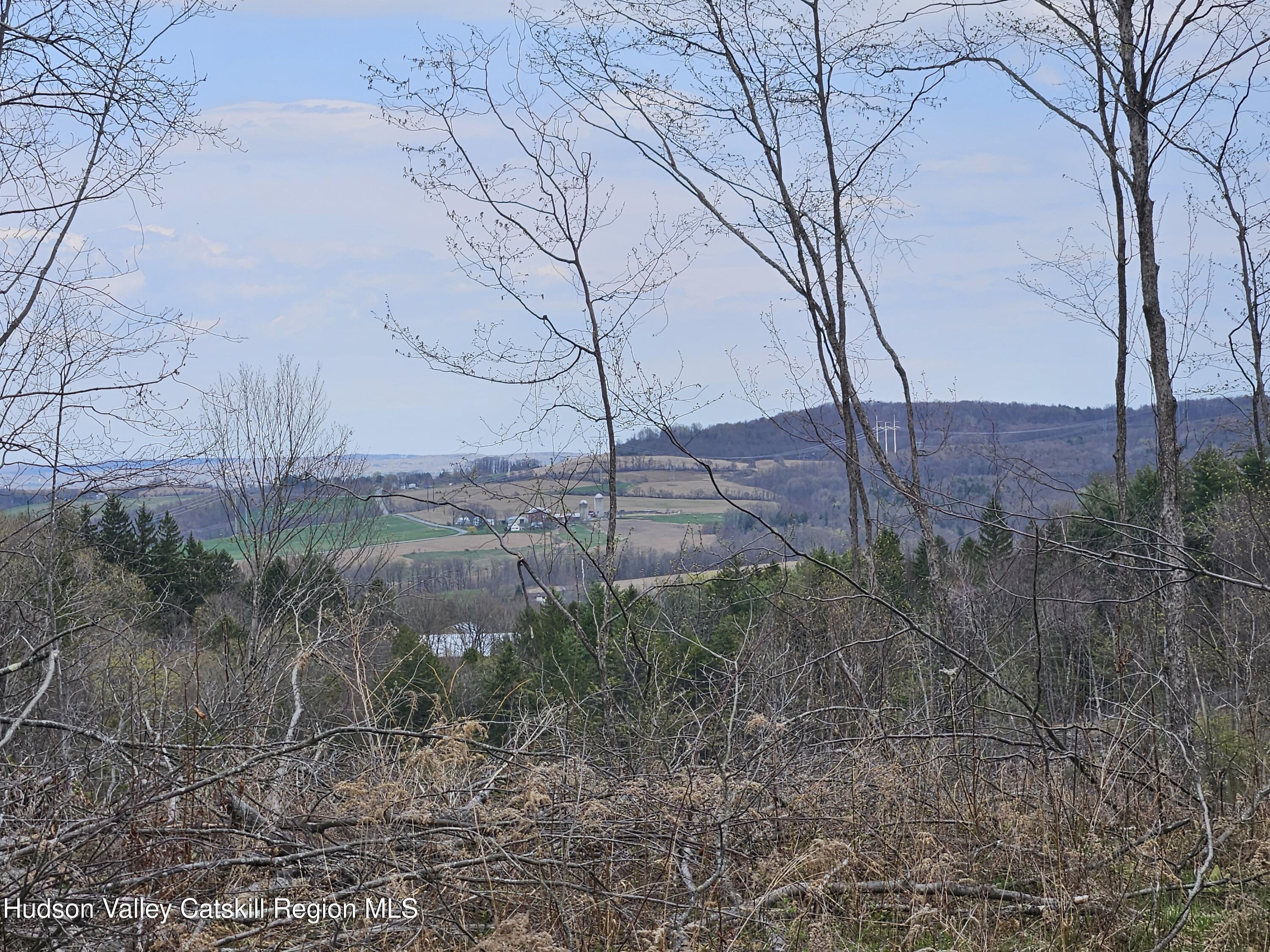 295 Shellstone Road Amsterdam, NY 12010 - Photo 75 of 98 20250424_144449