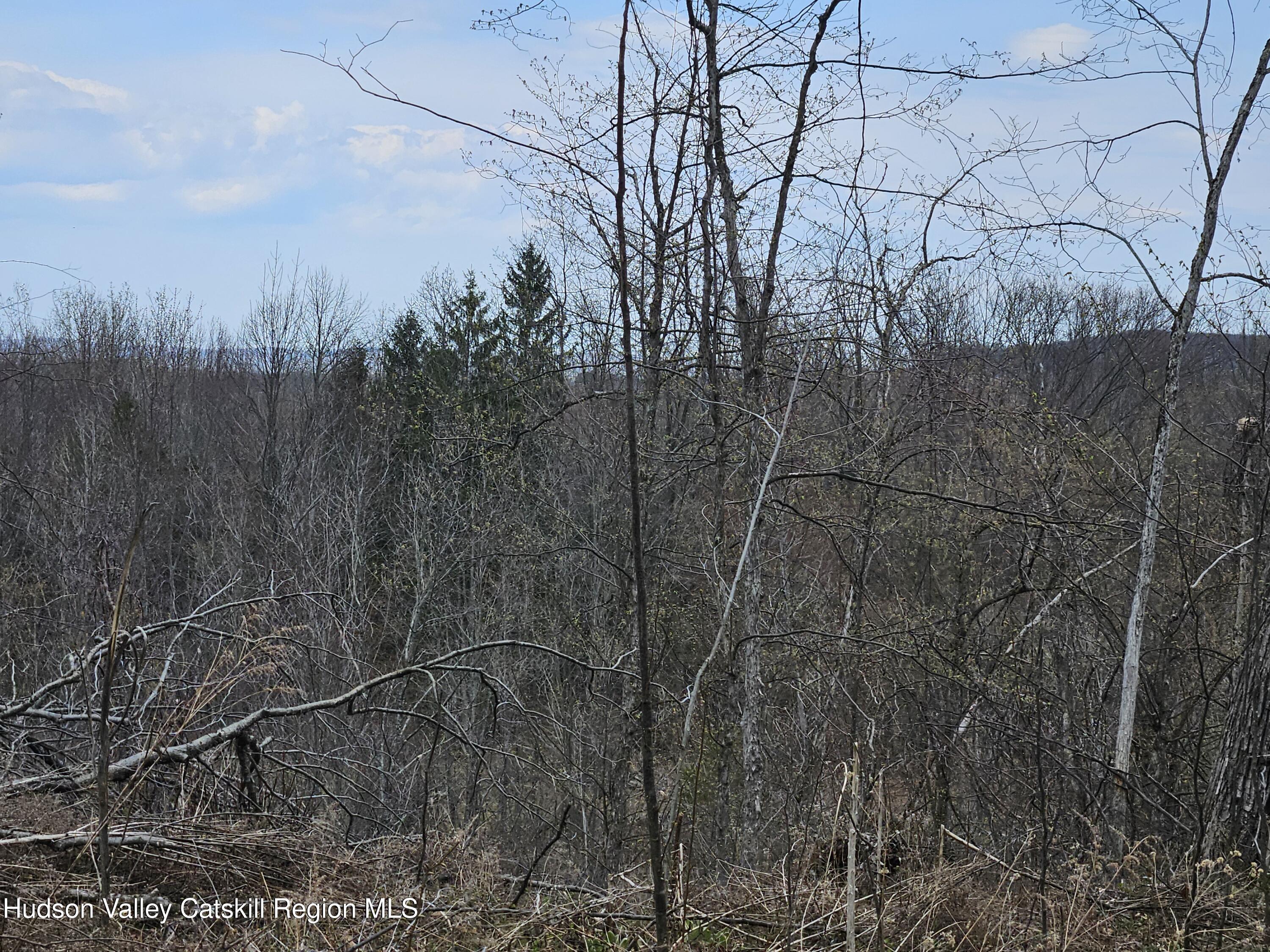 295 Shellstone Road Amsterdam, NY 12010 - Photo 76 of 98 20250424_144620