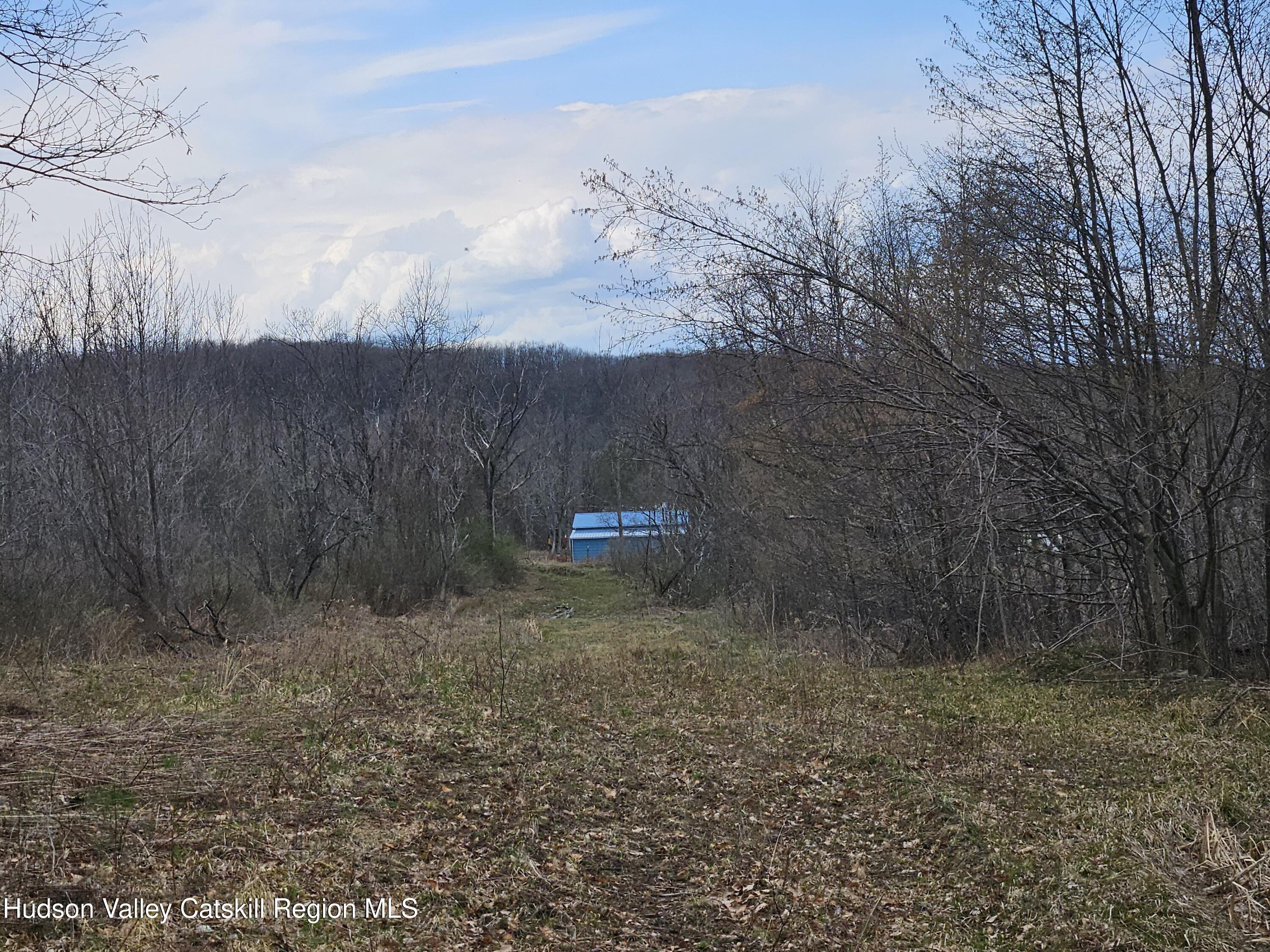 295 Shellstone Road Amsterdam, NY 12010 - Photo 77 of 98 20250424_144628