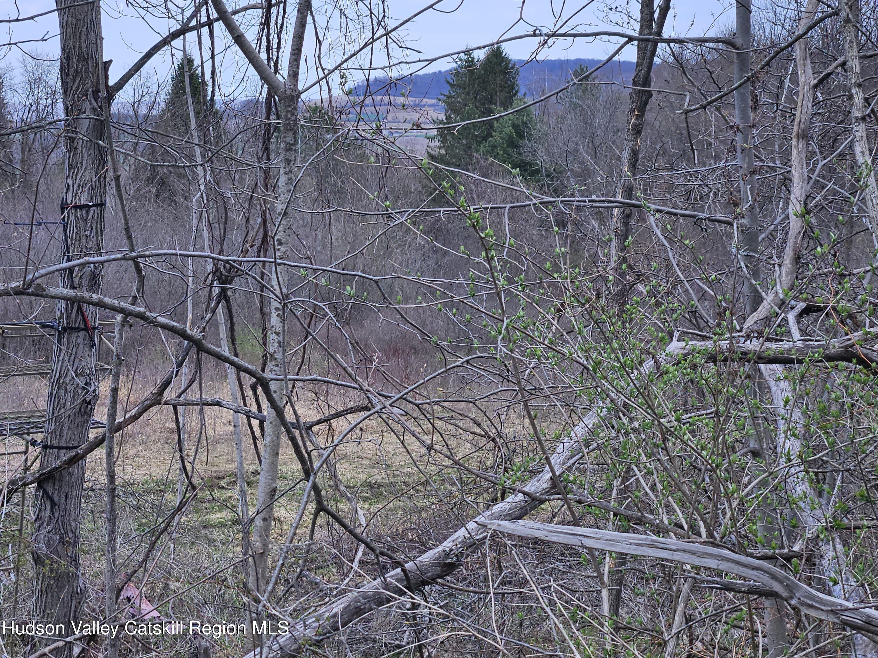 295 Shellstone Road Amsterdam, NY 12010 - Photo 80 of 98 20250424_144819