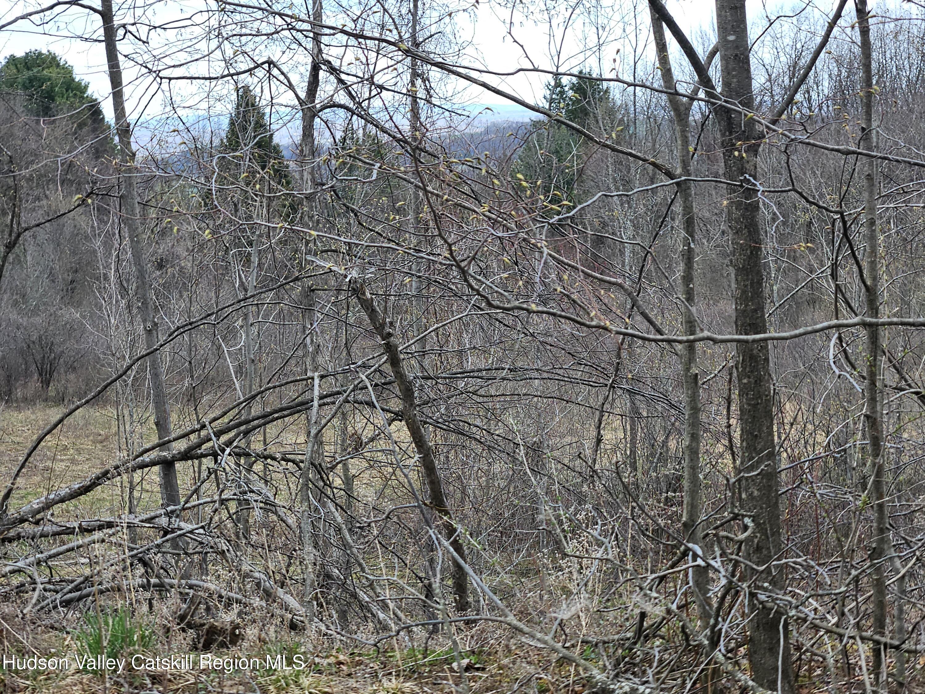 295 Shellstone Road Amsterdam, NY 12010 - Photo 80 of 98 20250424_144717