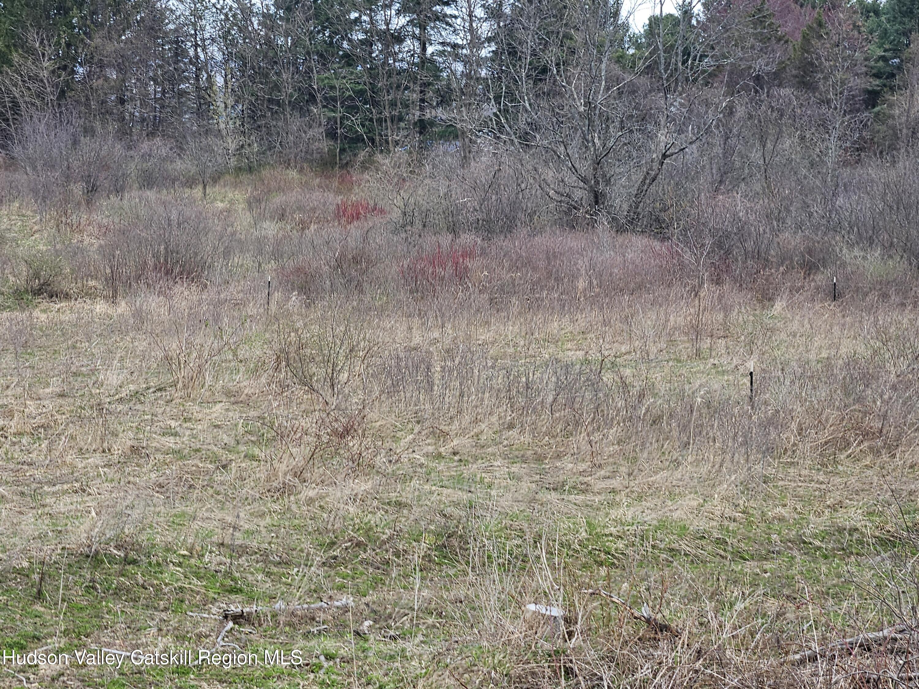 295 Shellstone Road Amsterdam, NY 12010 - Photo 81 of 98 20250424_144858