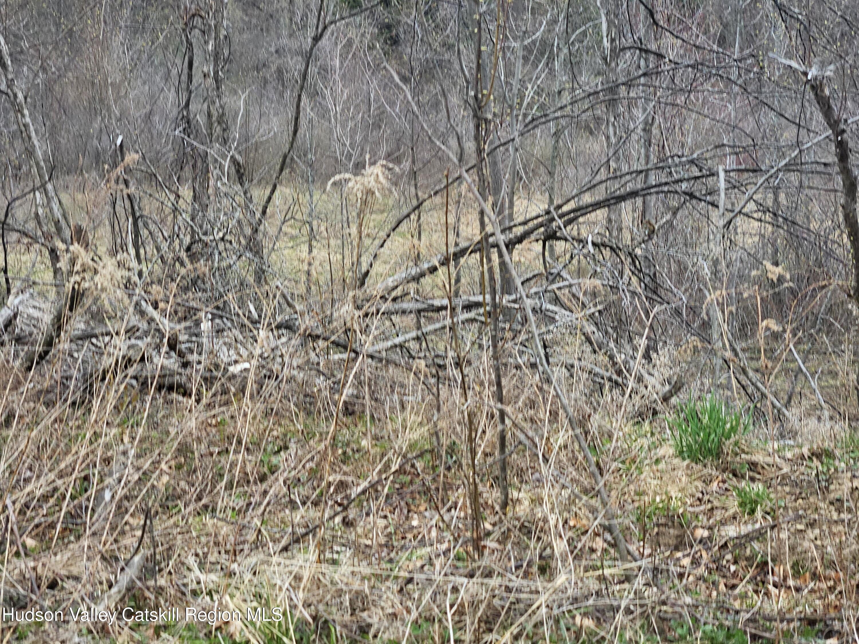 295 Shellstone Road Amsterdam, NY 12010 - Photo 81 of 98 20250424_144719