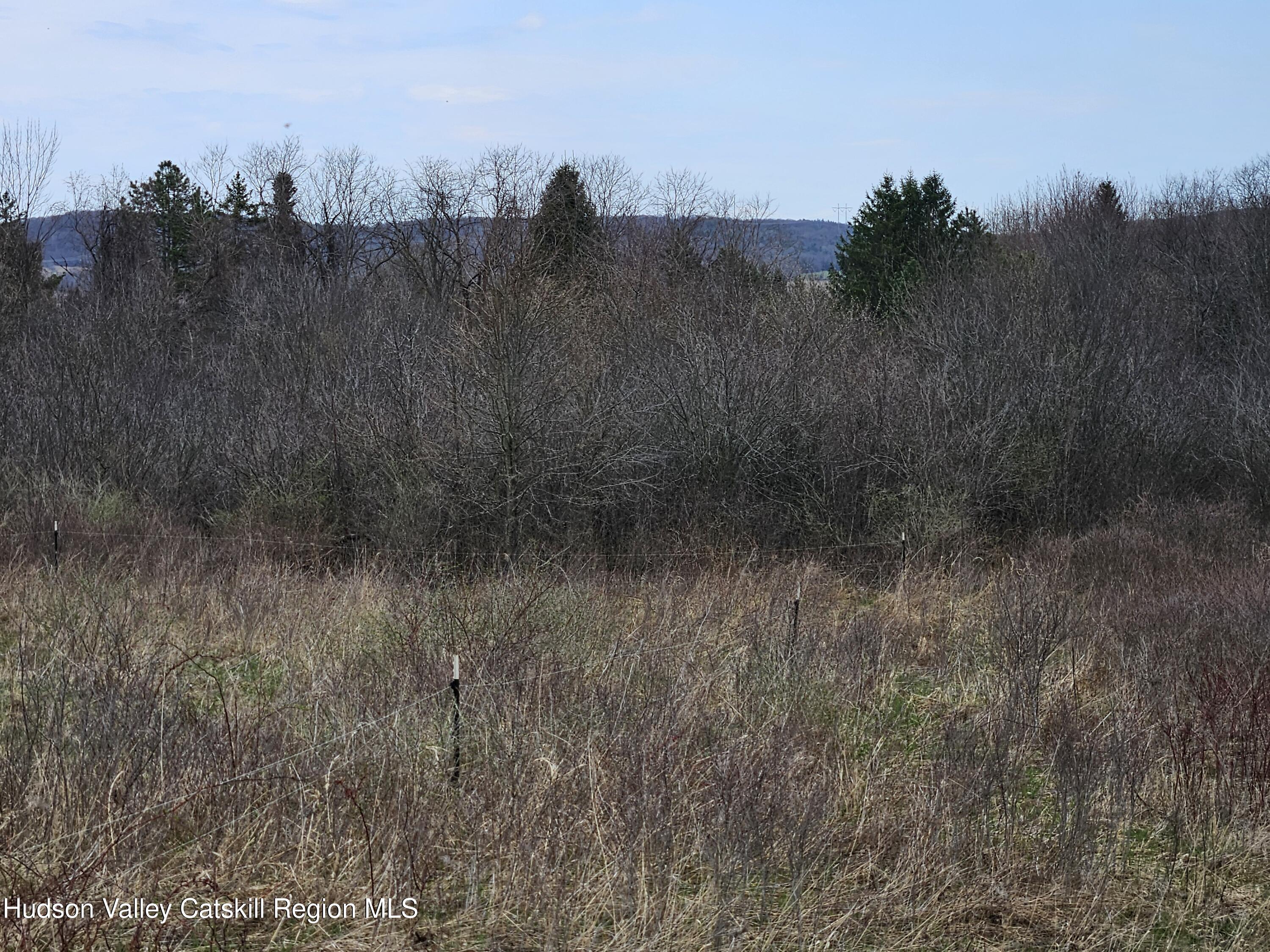 295 Shellstone Road Amsterdam, NY 12010 - Photo 84 of 98 20250424_144919
