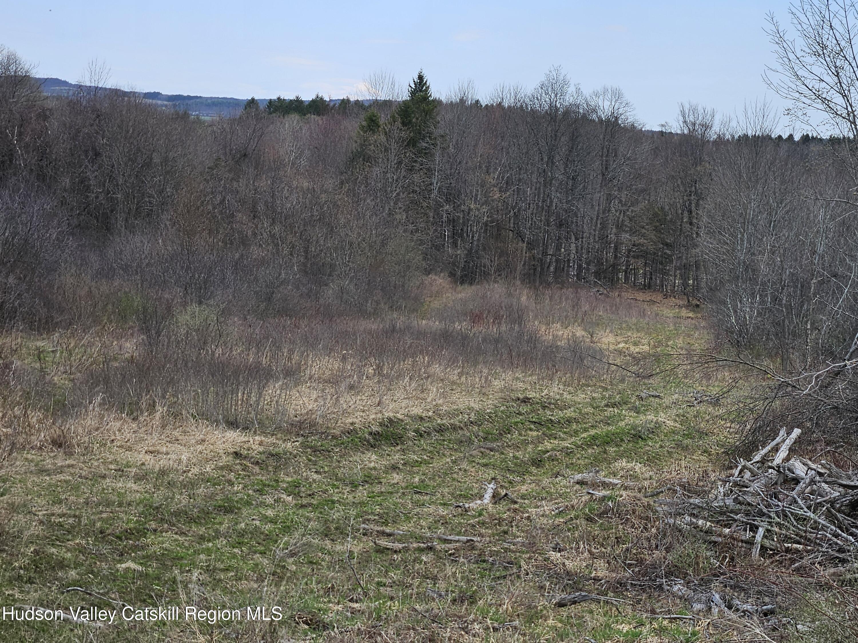 295 Shellstone Road Amsterdam, NY 12010 - Photo 84 of 98 20250424_144916