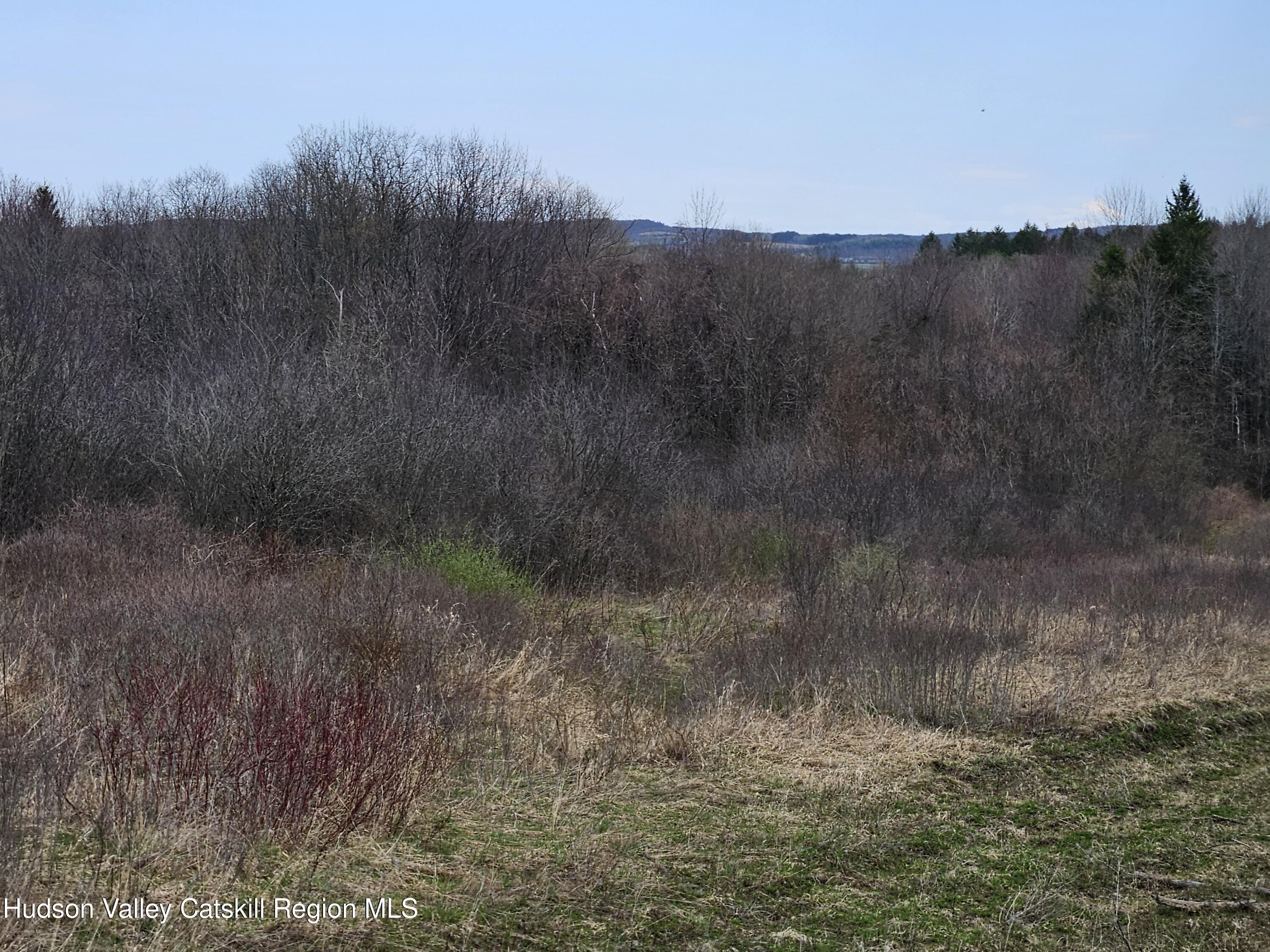 295 Shellstone Road Amsterdam, NY 12010 - Photo 85 of 98 20250424_144918