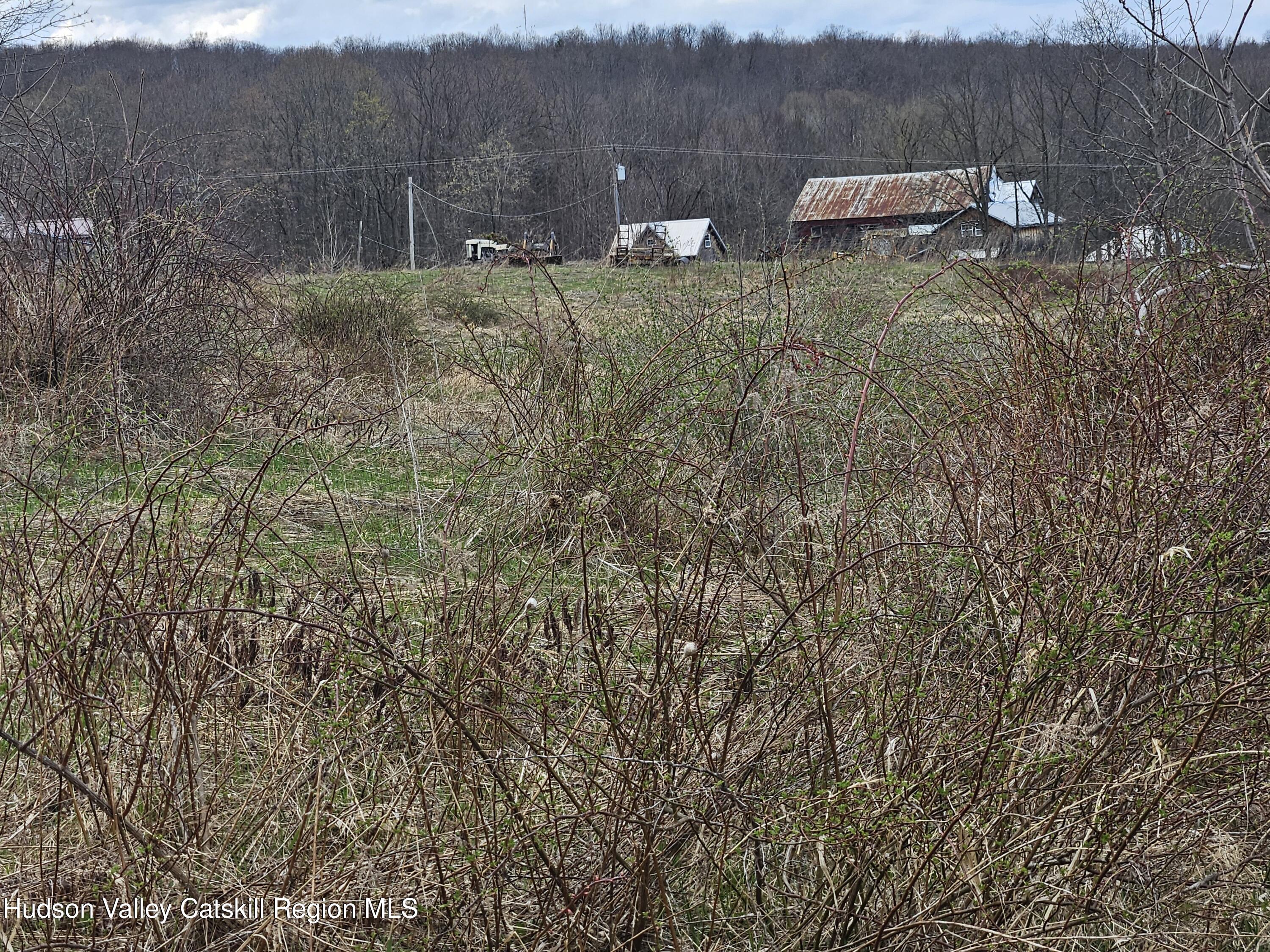 295 Shellstone Road Amsterdam, NY 12010 - Photo 85 of 98 20250424_144924