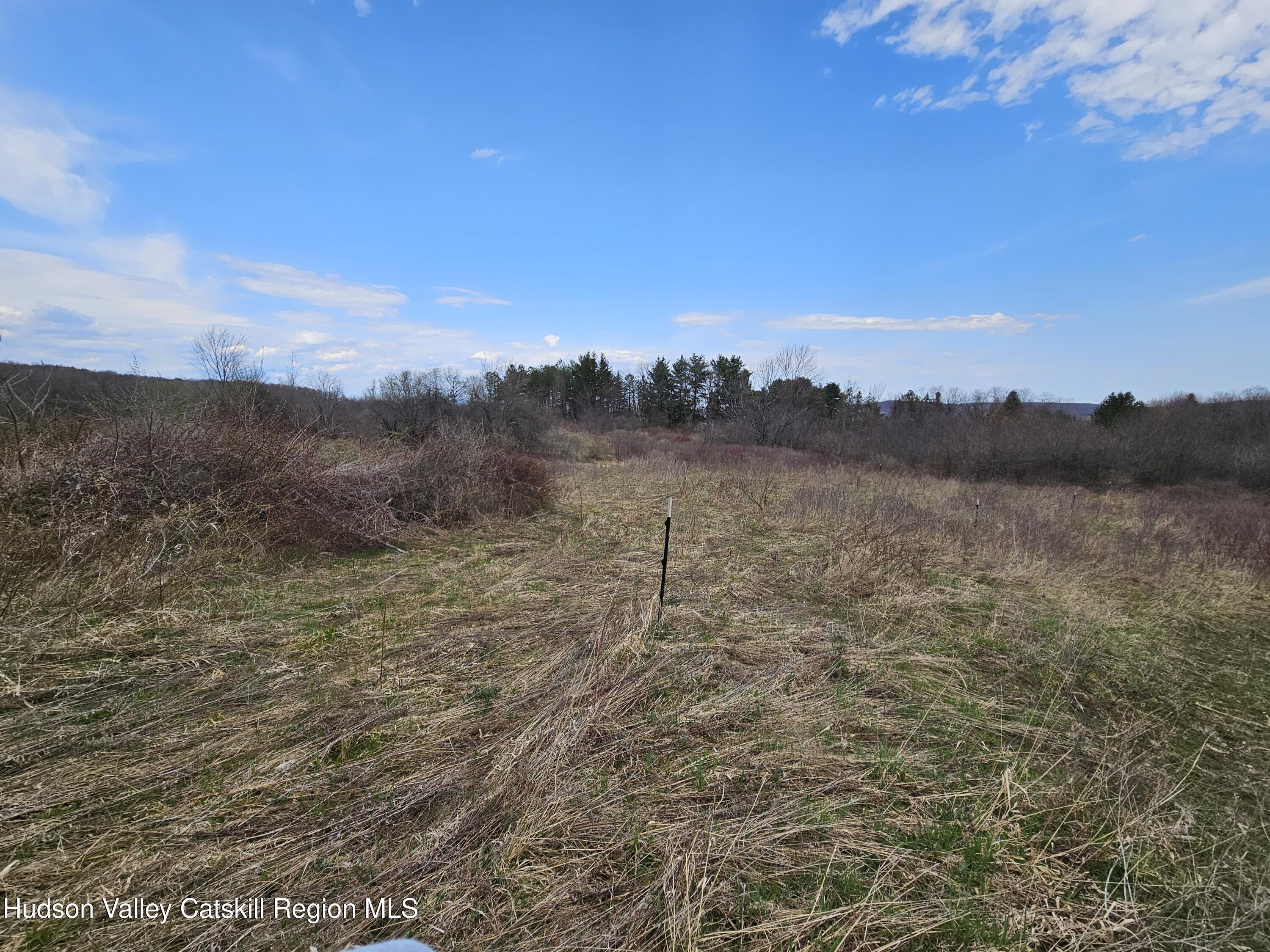 295 Shellstone Road Amsterdam, NY 12010 - Photo 87 of 98 20250424_144930