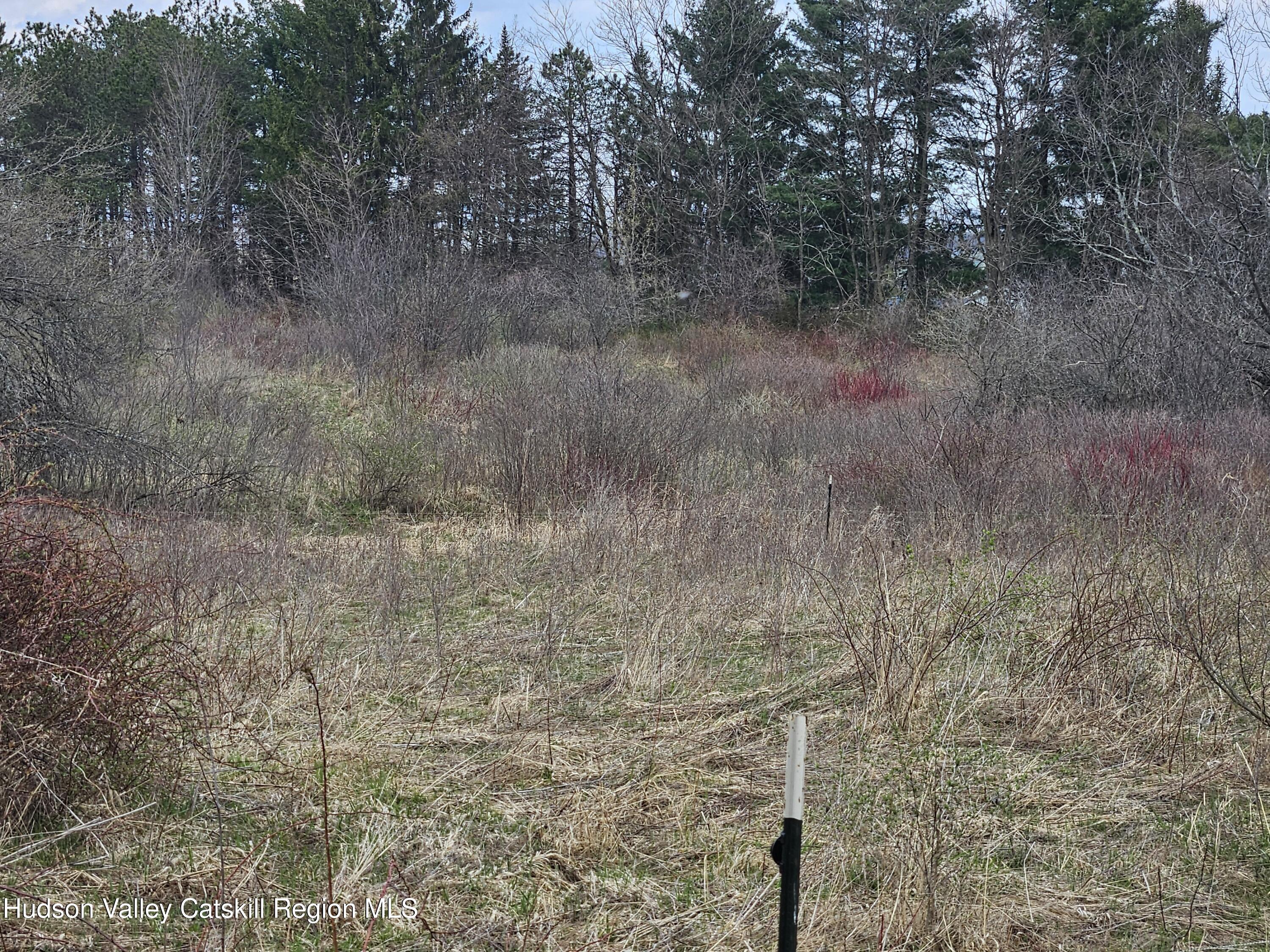 295 Shellstone Road Amsterdam, NY 12010 - Photo 88 of 98 20250424_144927