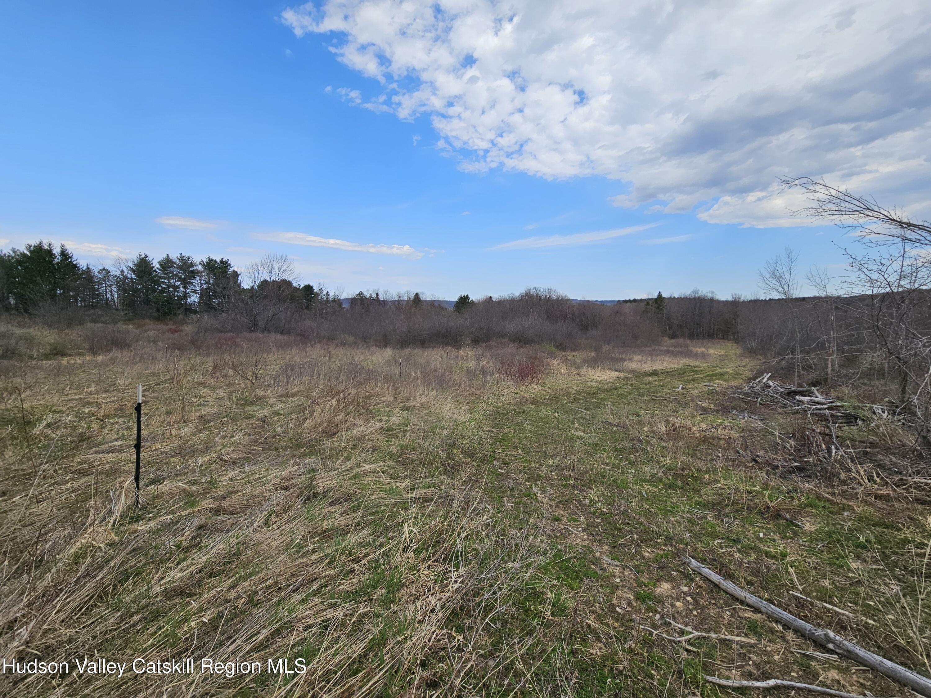 295 Shellstone Road Amsterdam, NY 12010 - Photo 90 of 98 20250424_144932